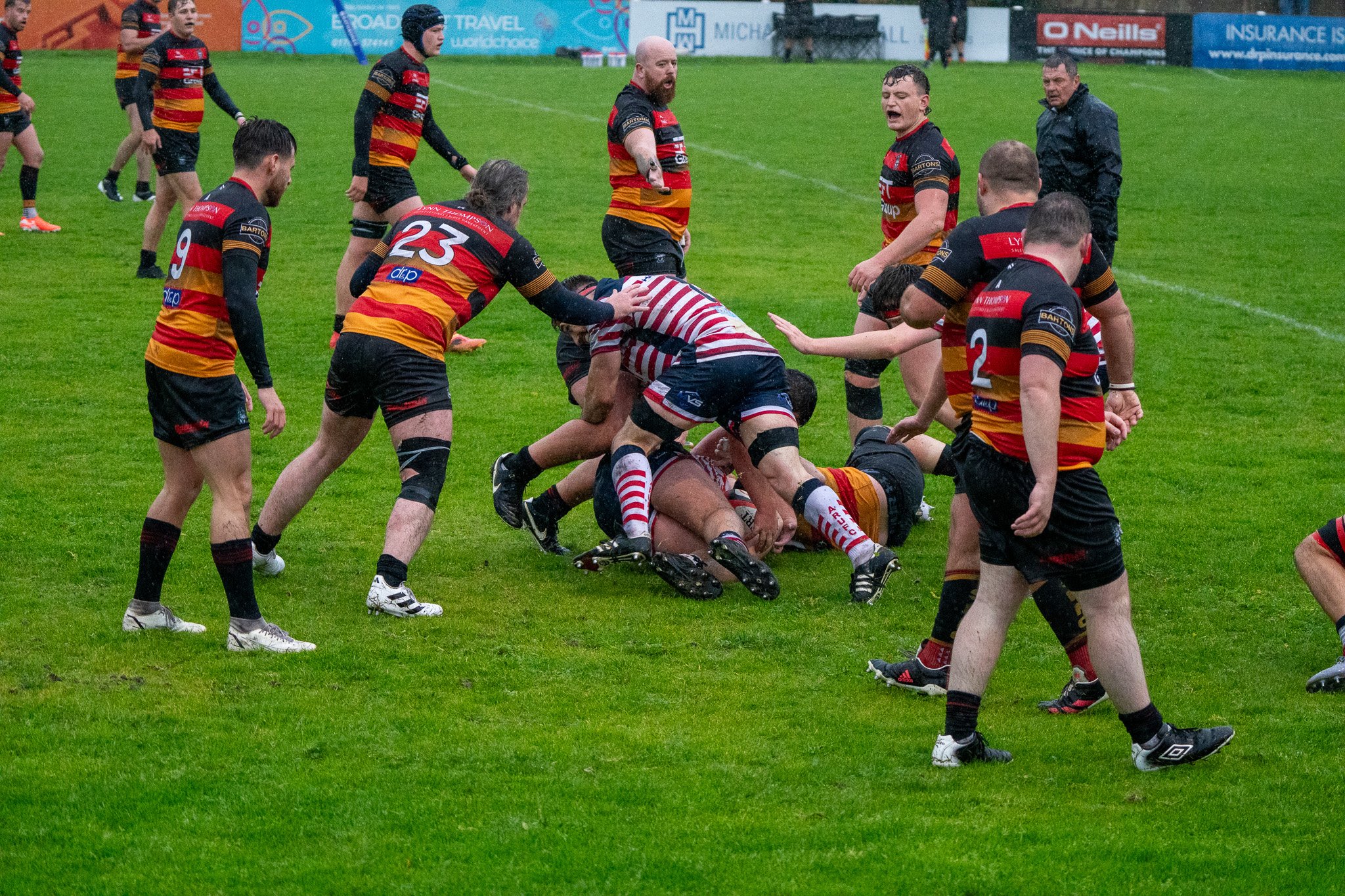 DSC05580.jpg