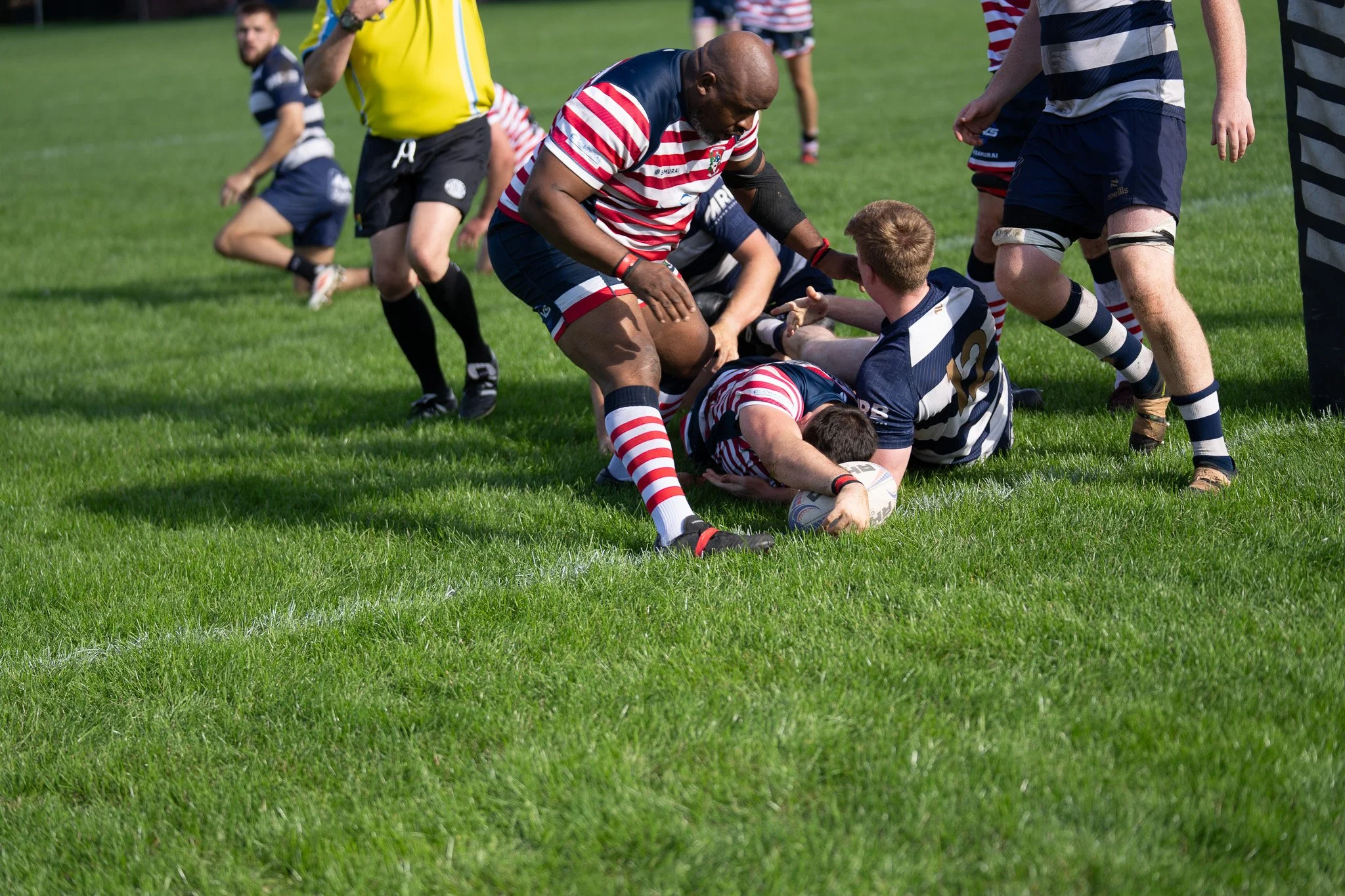 DSC02911.jpg