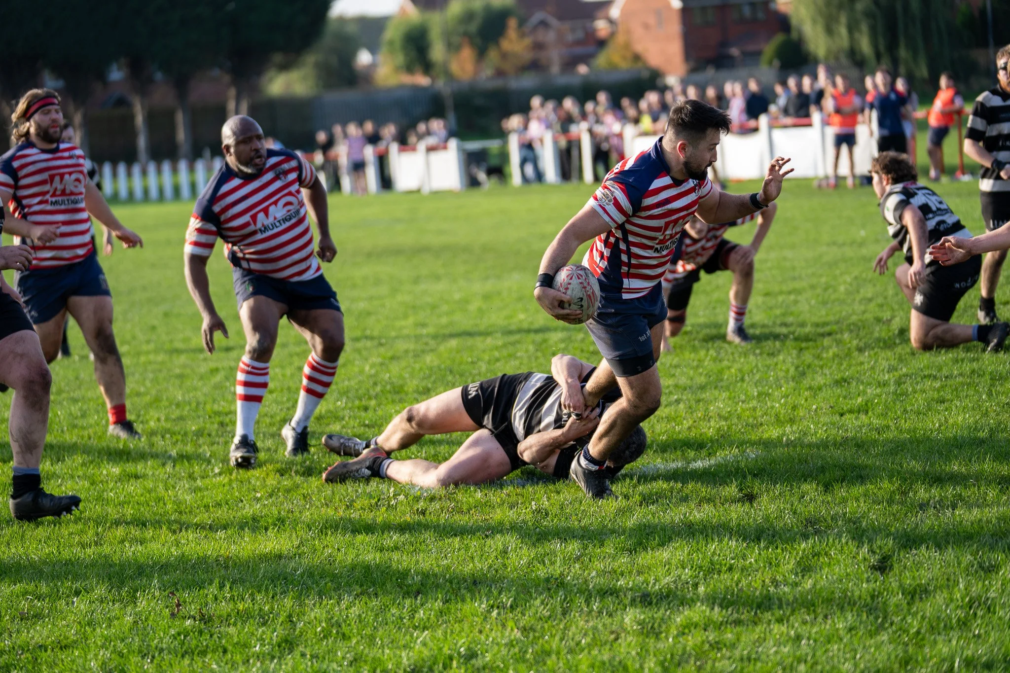 DSC04081.jpg