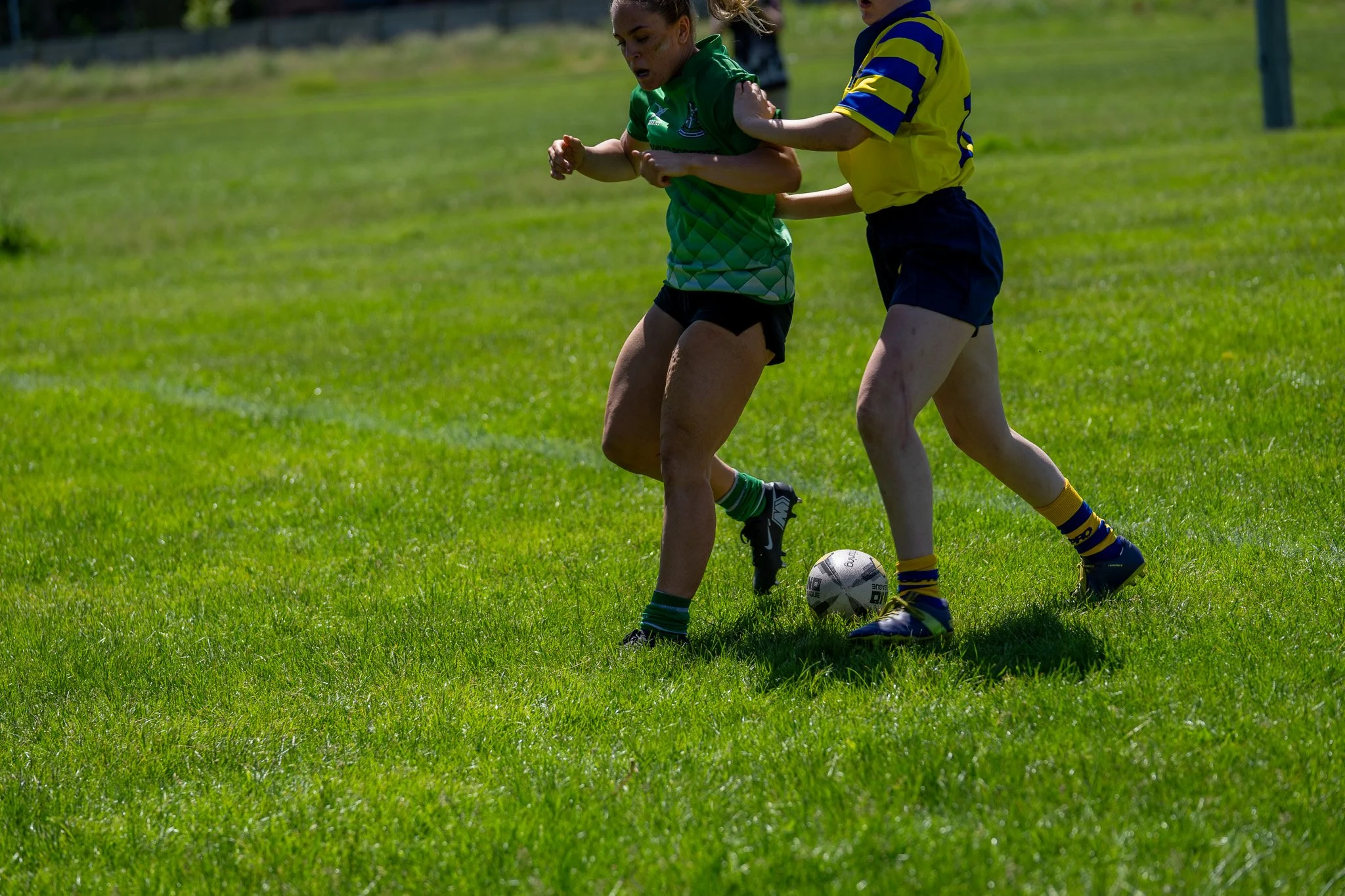 DSC02435.jpg