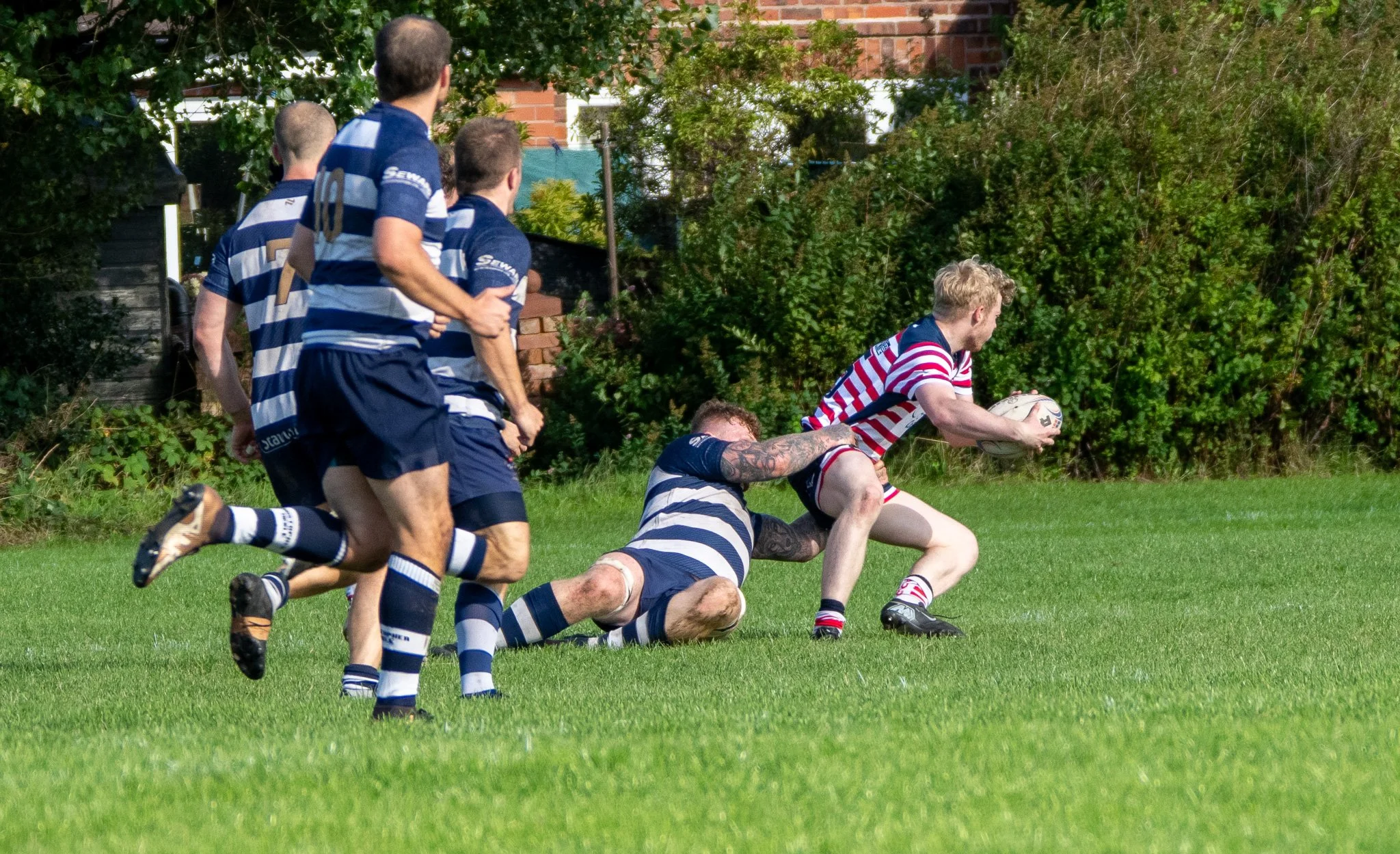 DSC03304.jpg