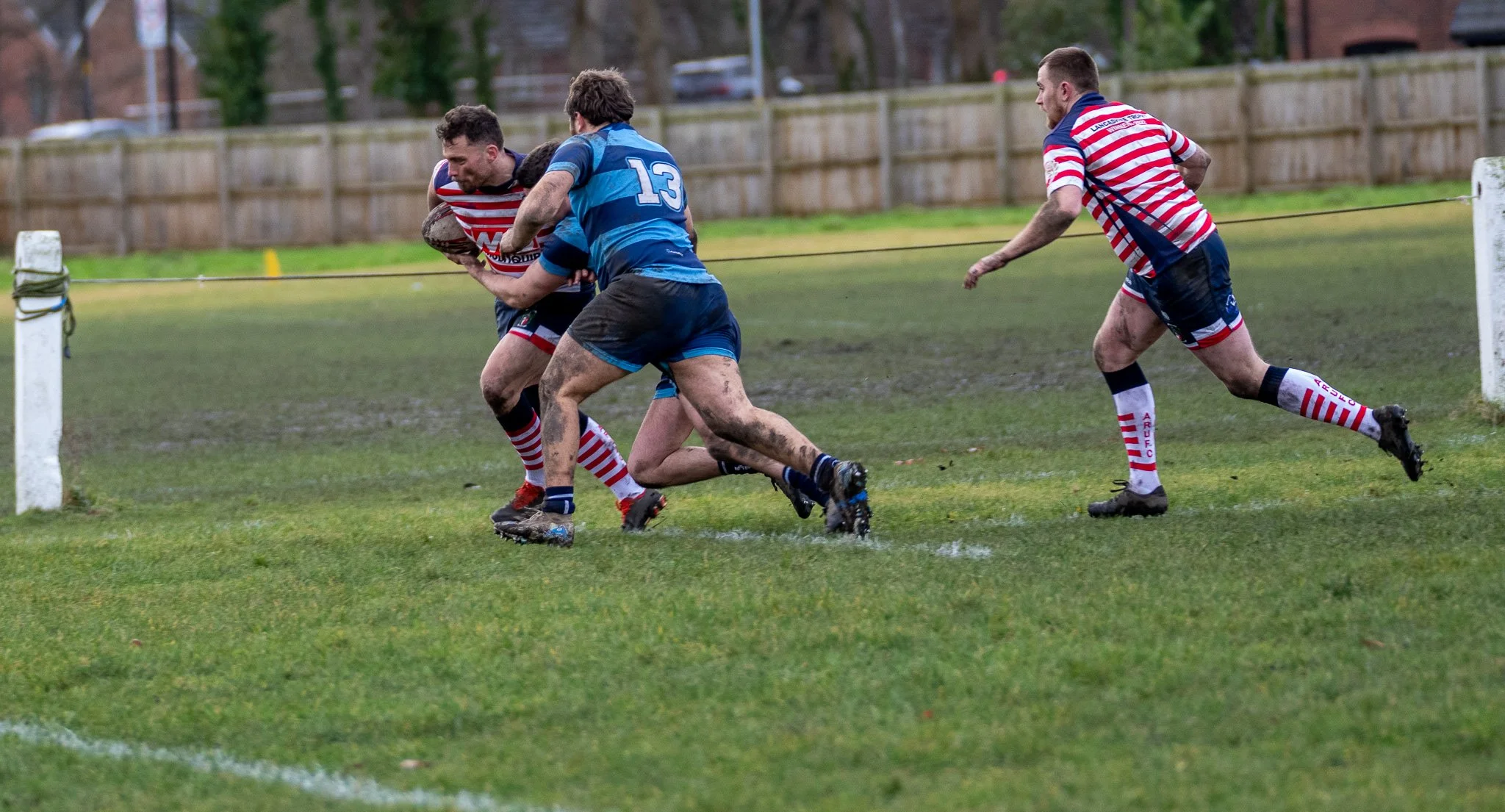 DSC08475.jpg