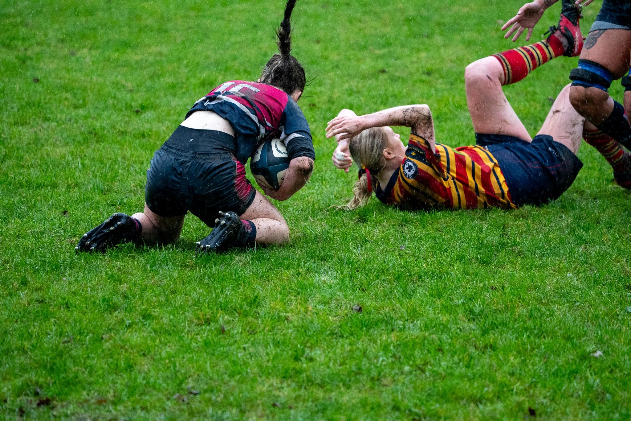 DSC08346.jpg