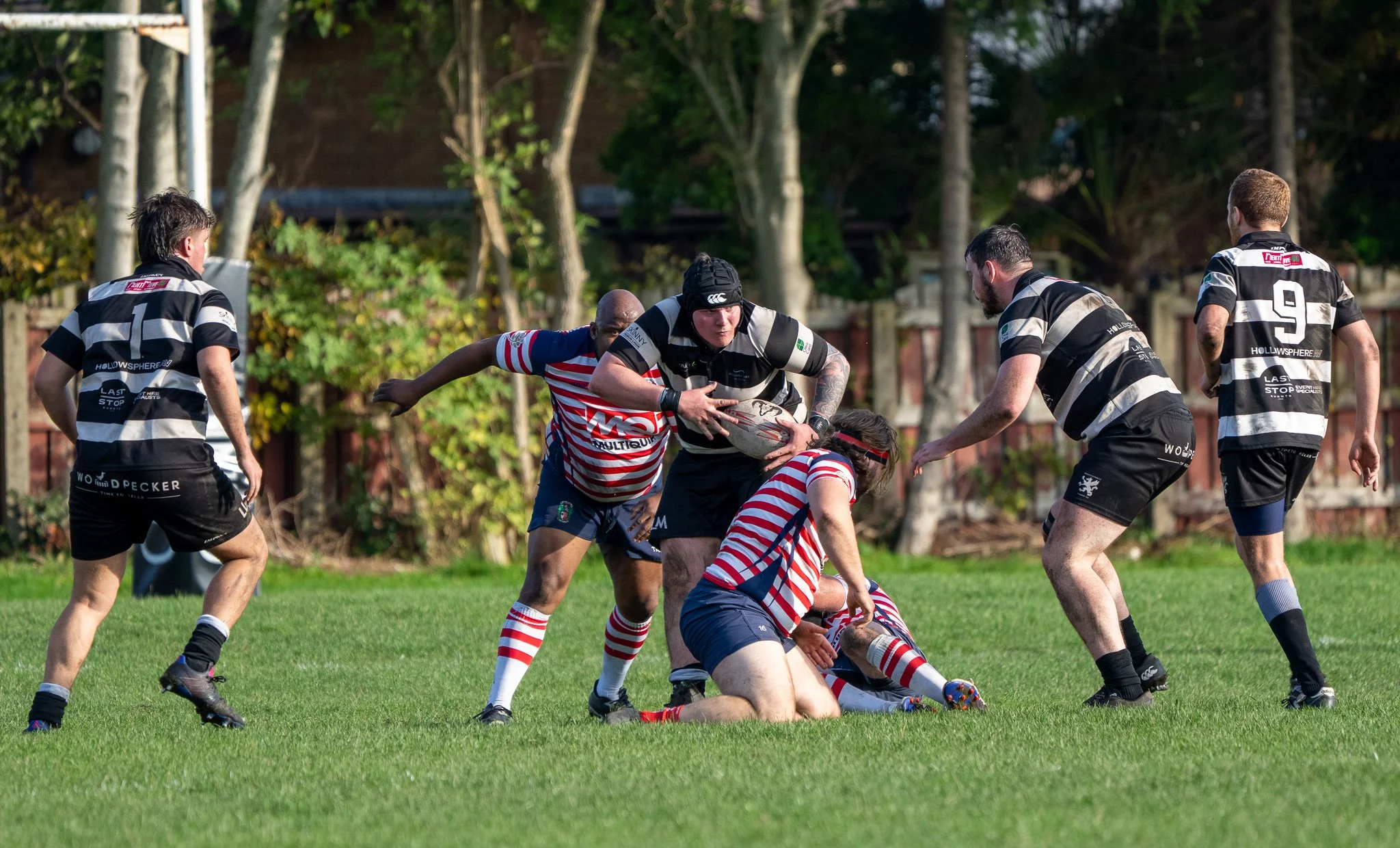 DSC07685.jpg
