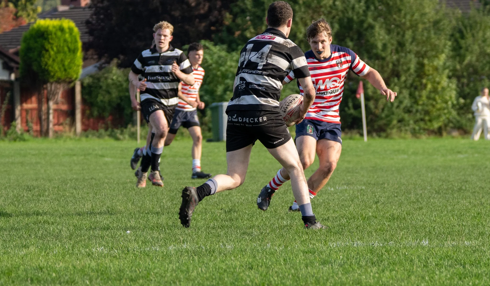 DSC07677.jpg