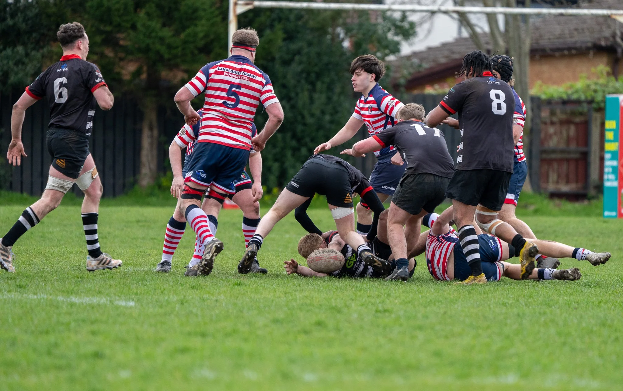 DSC01682.jpg