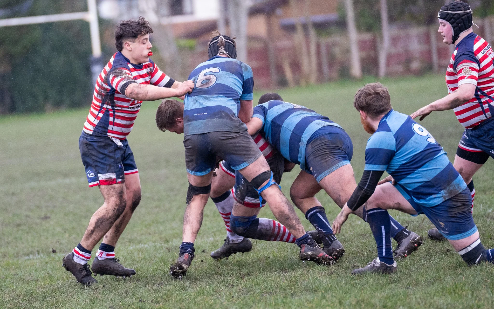 DSC08696.jpg