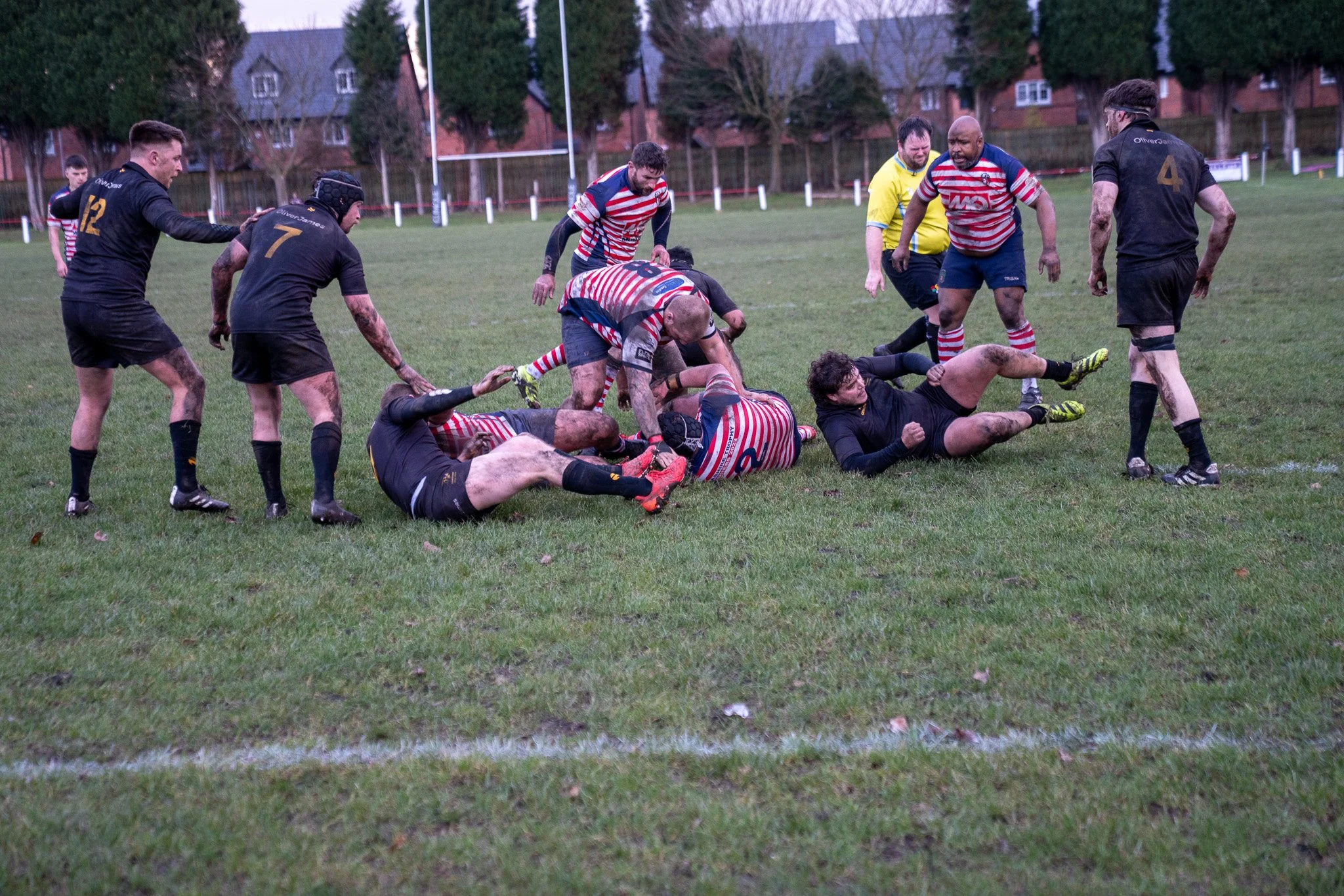 DSC04082.jpg