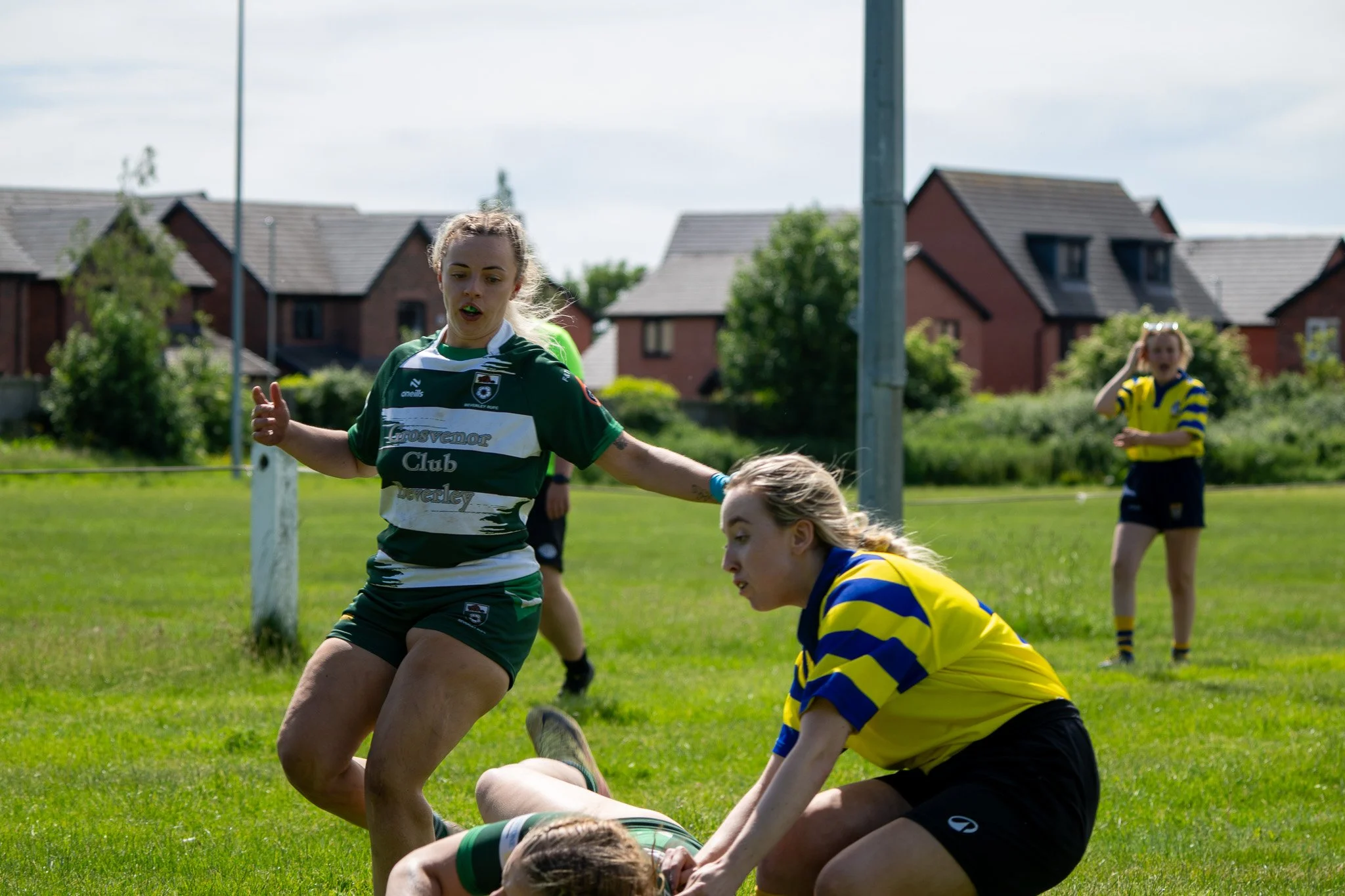 DSC02984.jpg