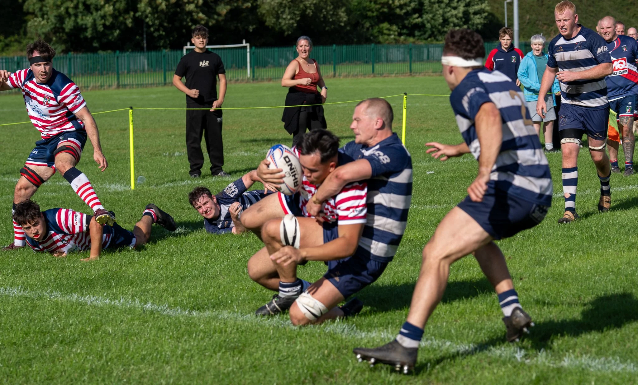 DSC02843.jpg