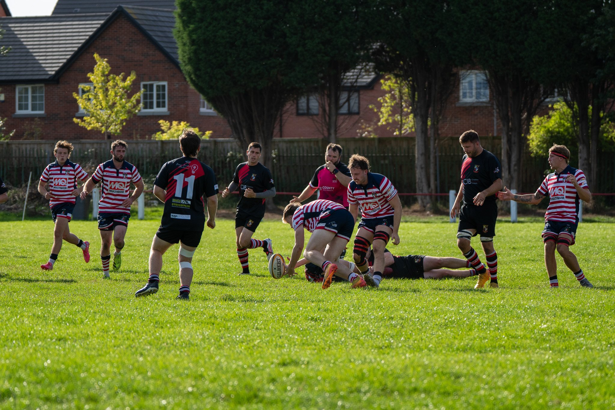 DSC03948.jpg