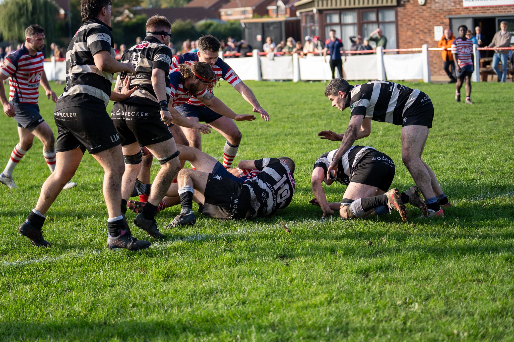 DSC03970.jpg