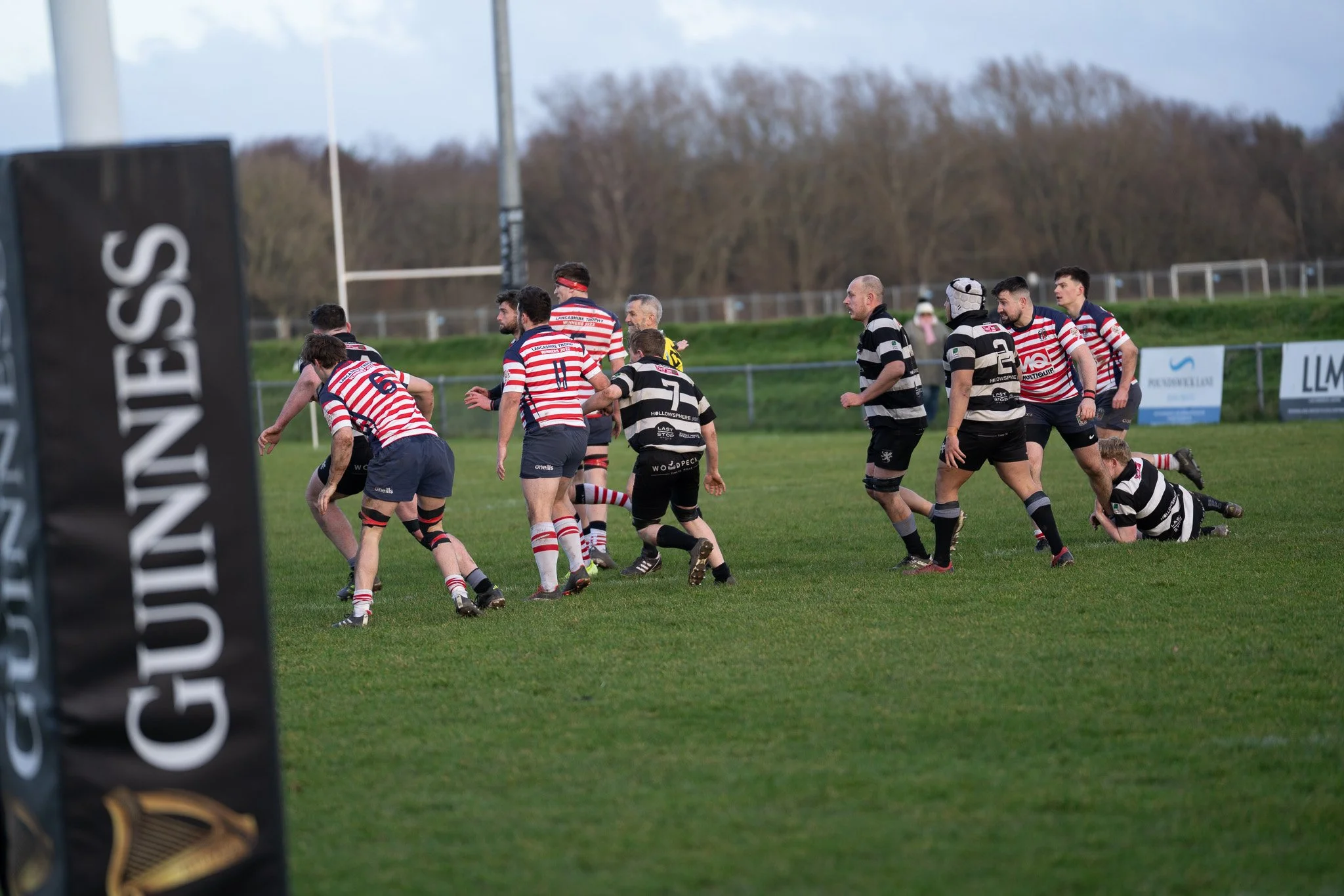 DSC07550.jpg
