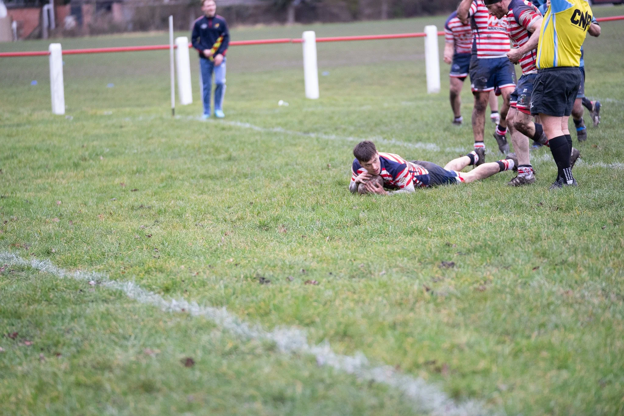 DSC08778.jpg