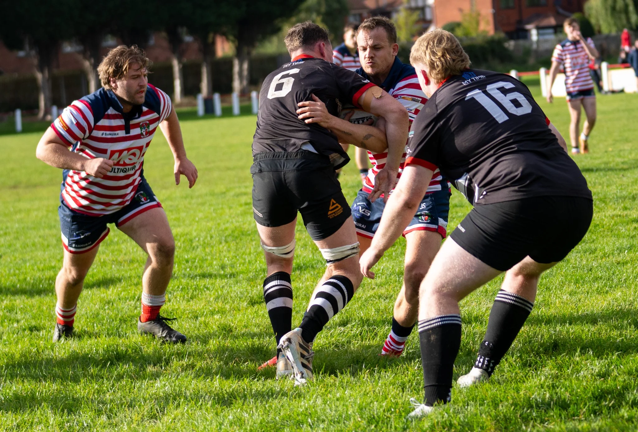 DSC04305.jpg