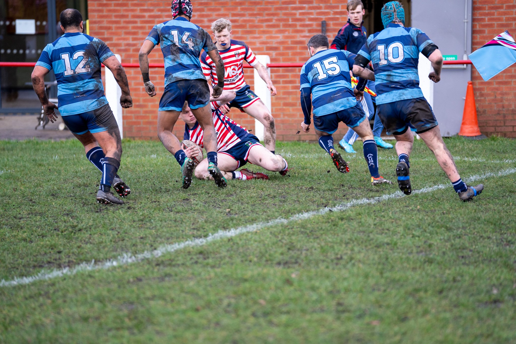 DSC08498.jpg