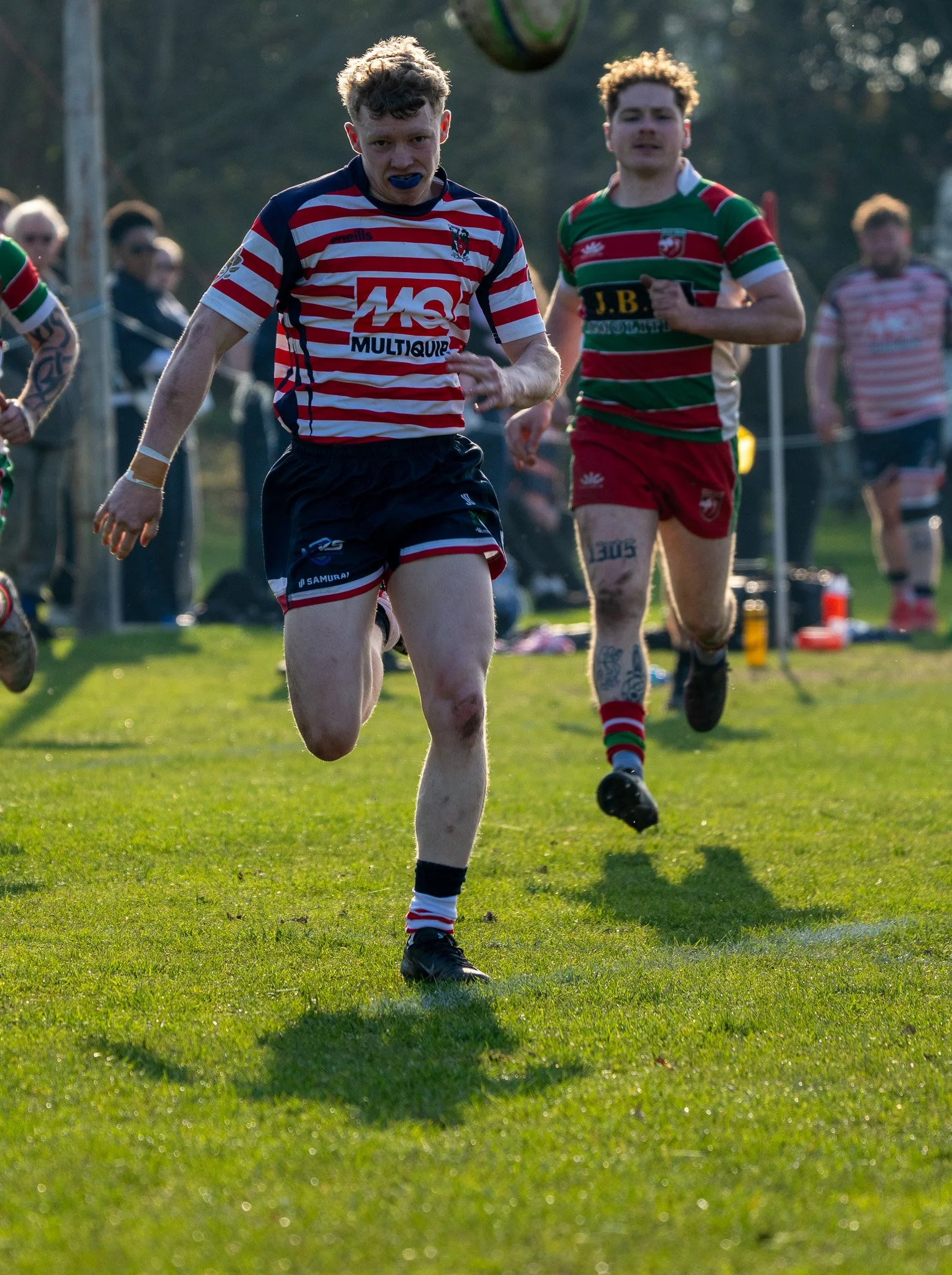 DSC01204.jpg