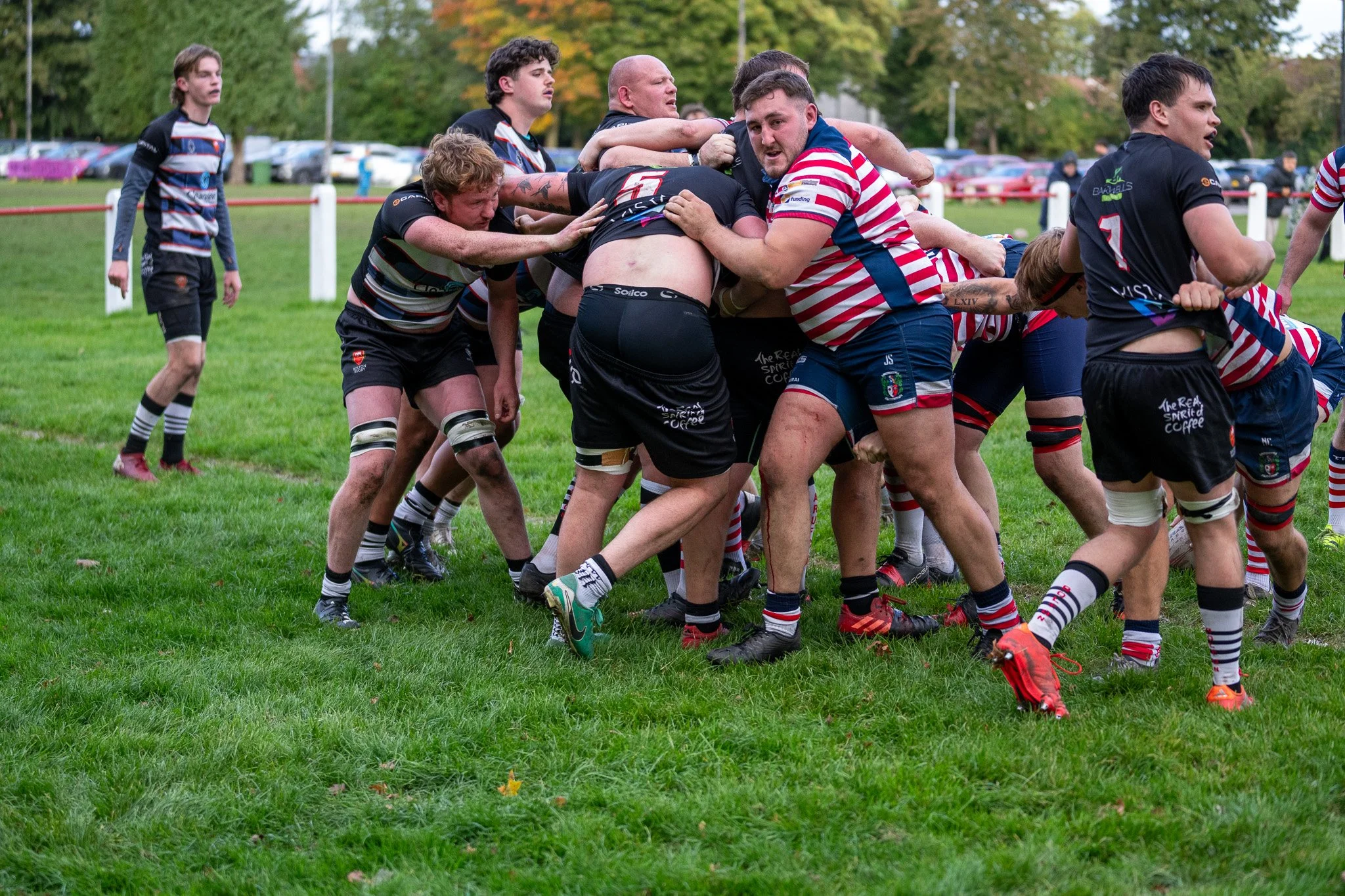 DSC05304-2.jpg
