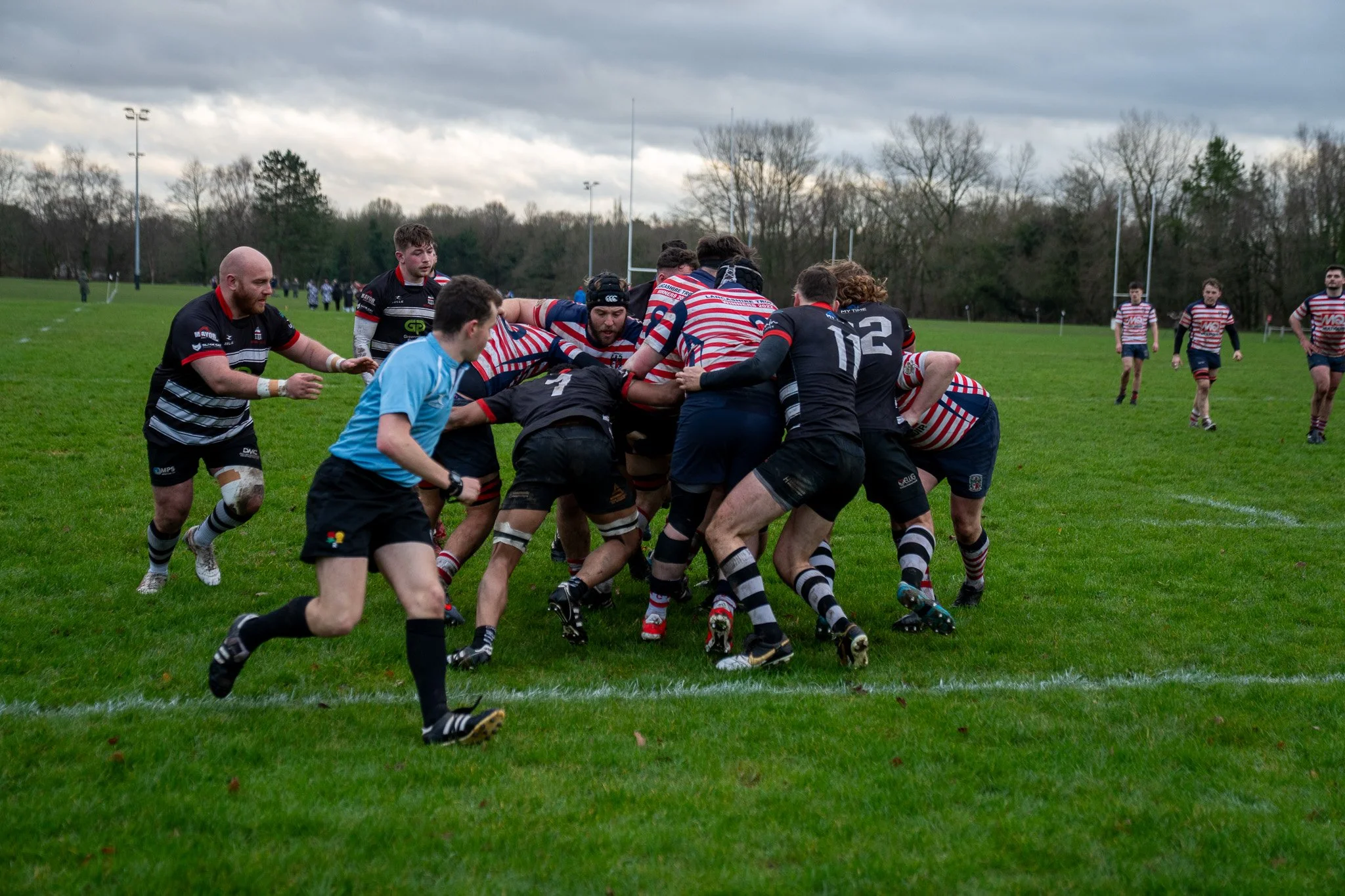 DSC03817.jpg