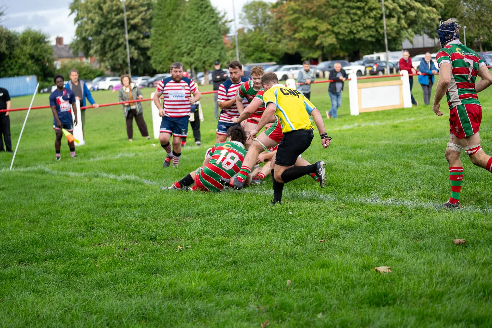 DSC03184.jpg