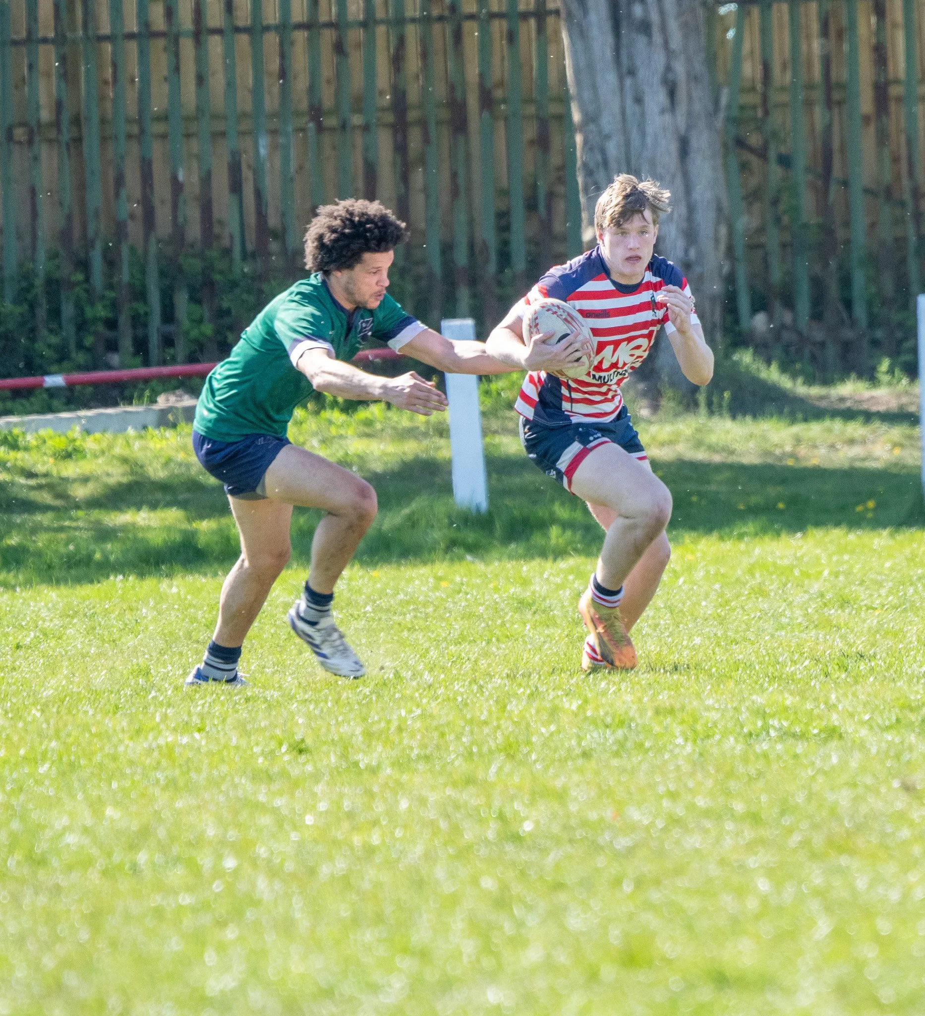 DSC02013.jpg