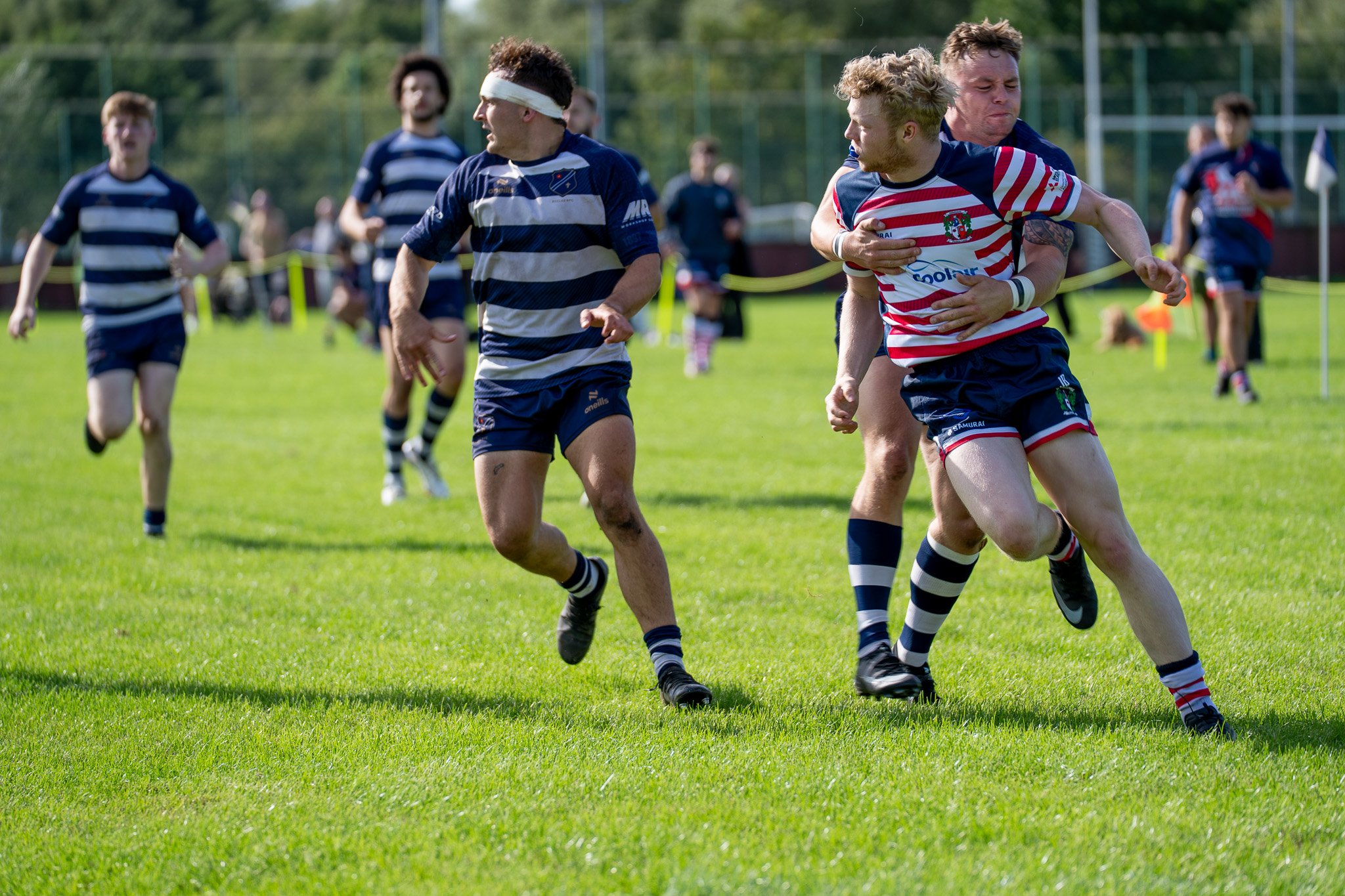 DSC02696.jpg