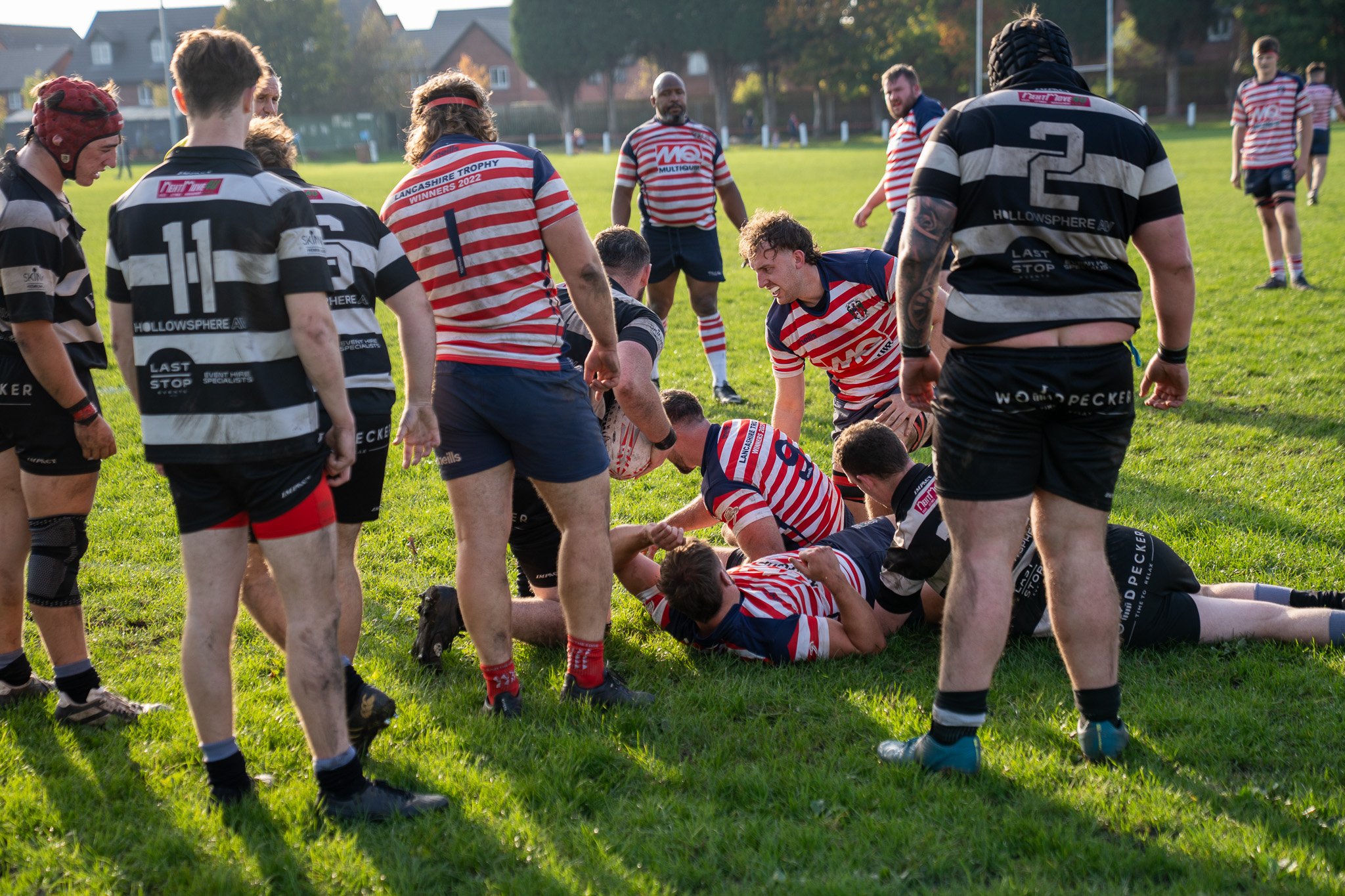 DSC03454.jpg