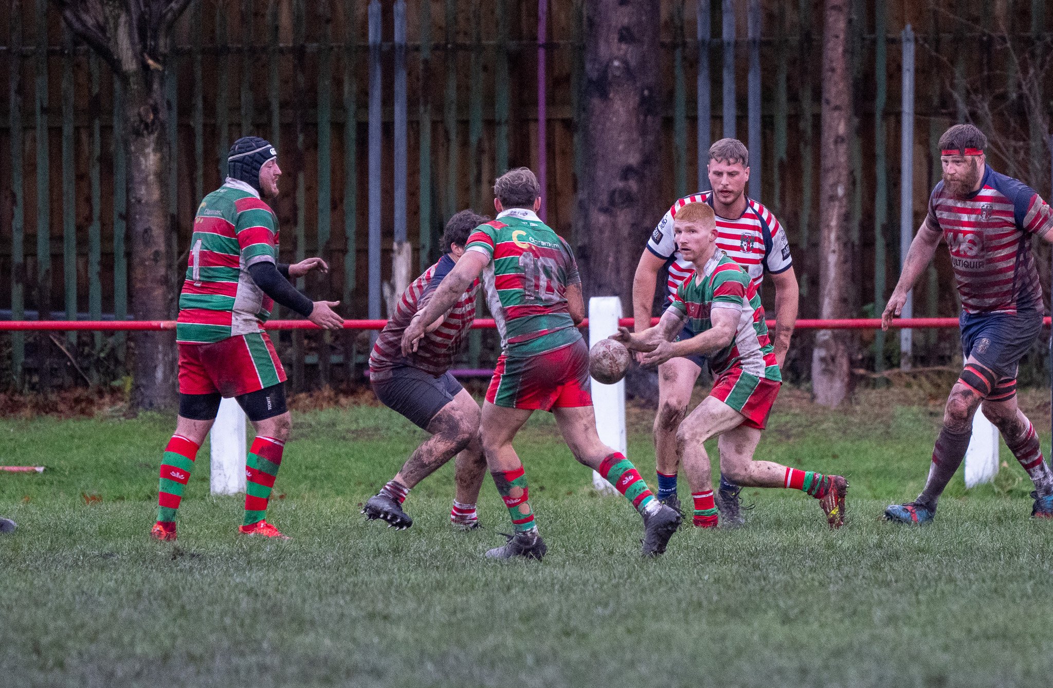DSC08804.jpg