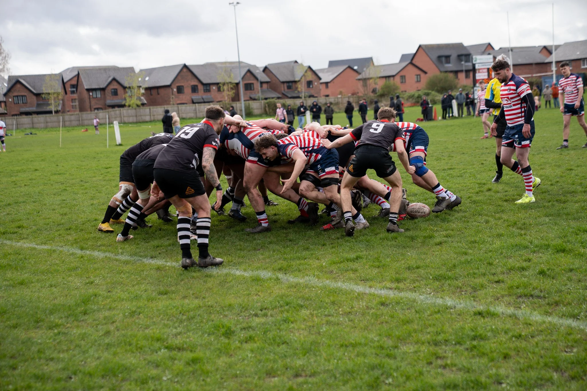 DSC04576.jpg