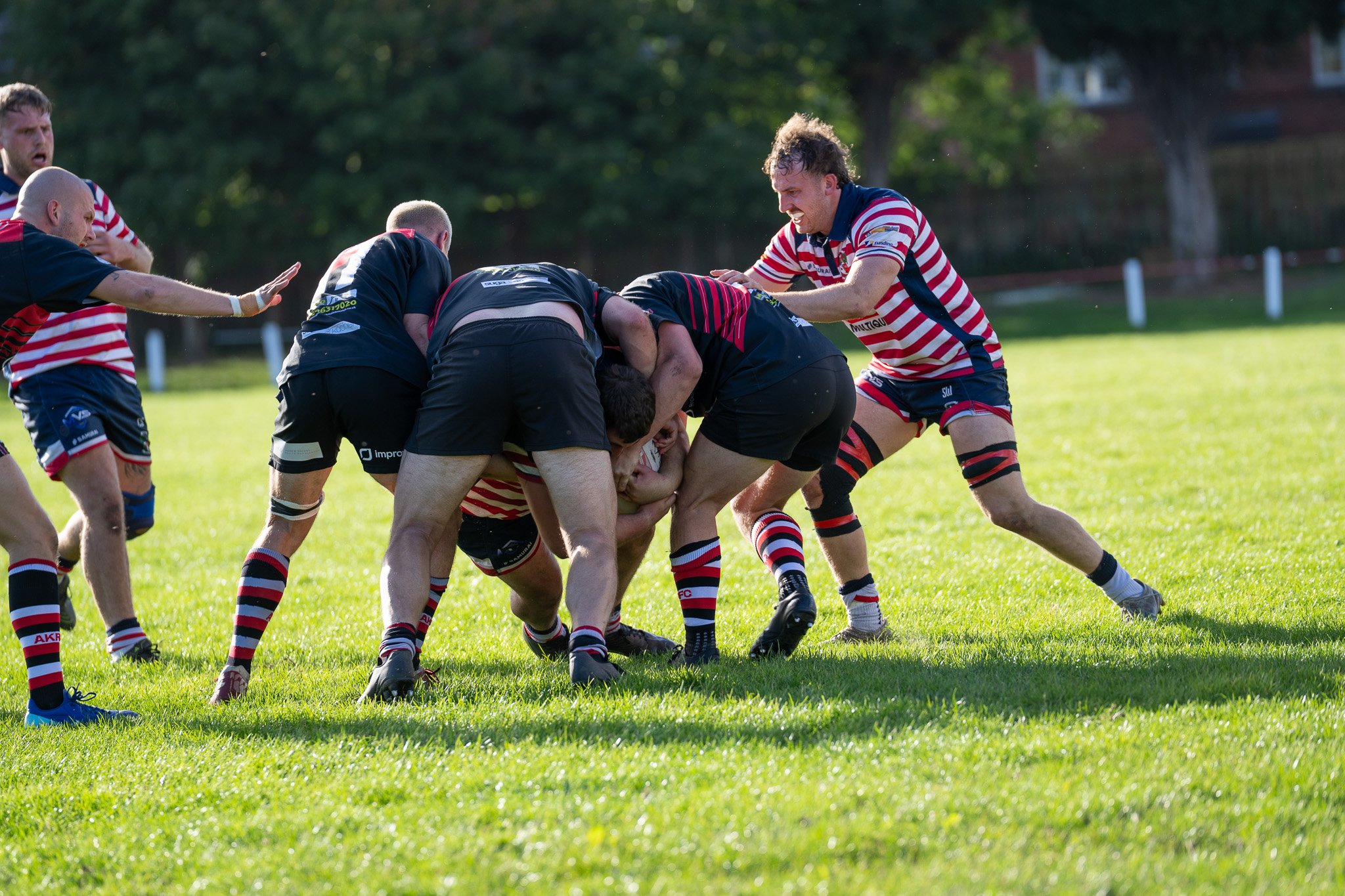 DSC03668.jpg