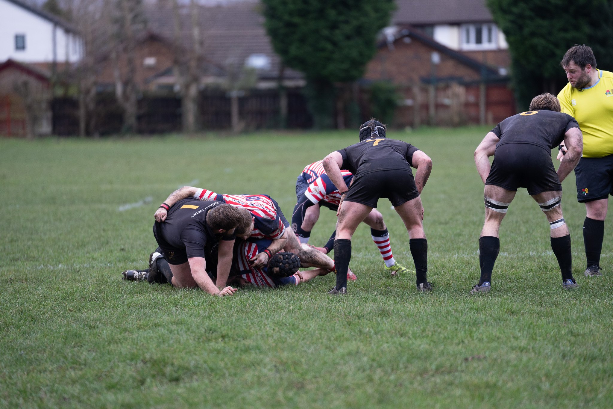 DSC07070.jpg