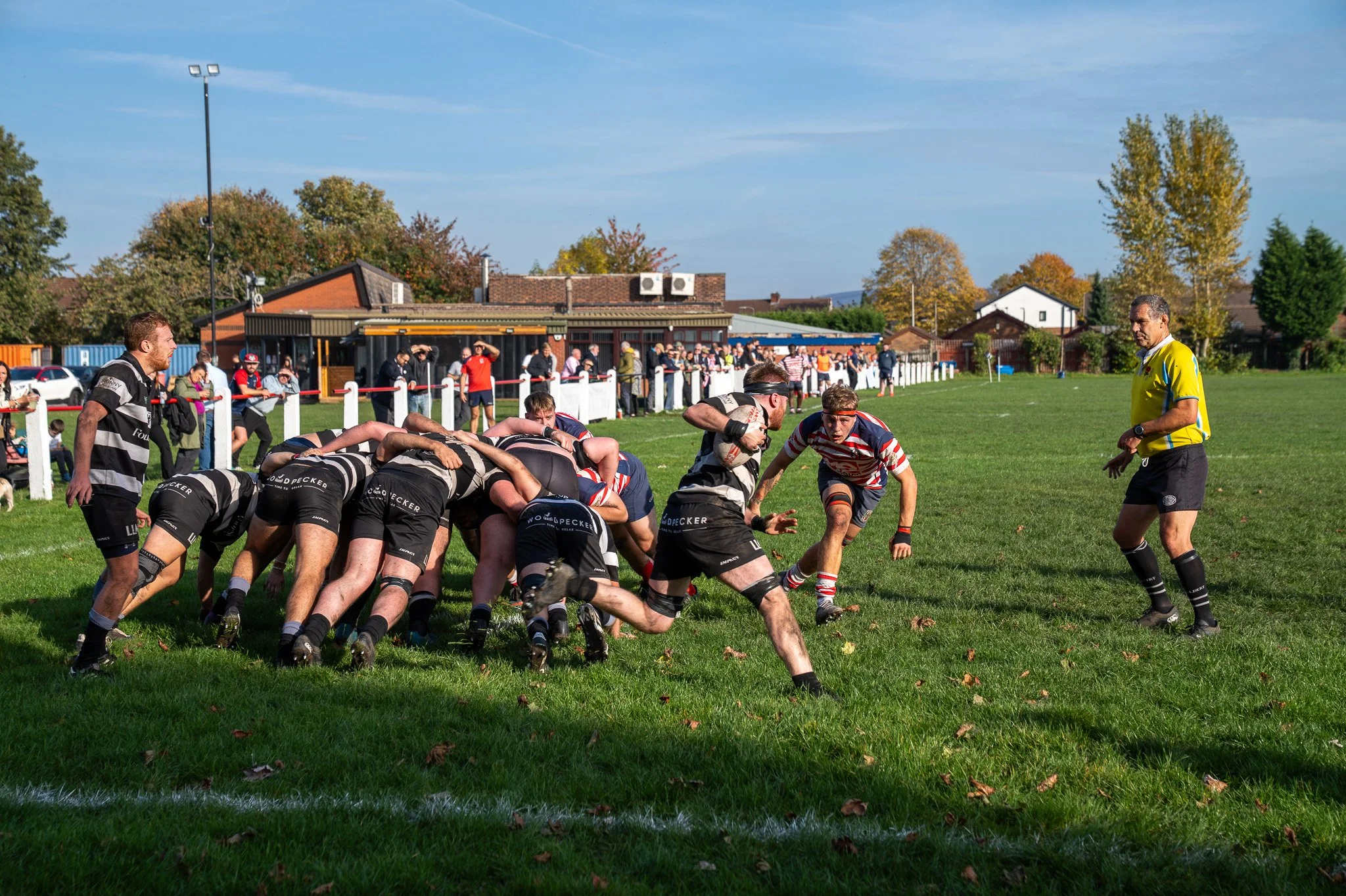 DSC03399.jpg