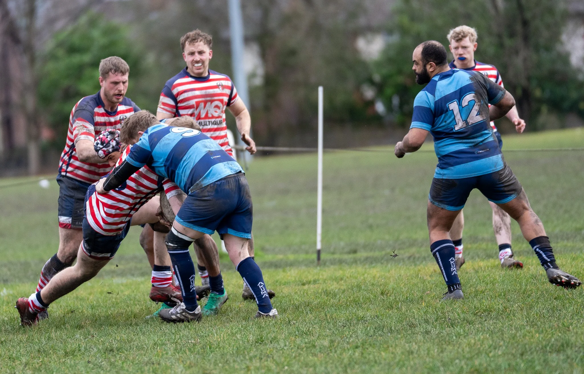 DSC08577.jpg