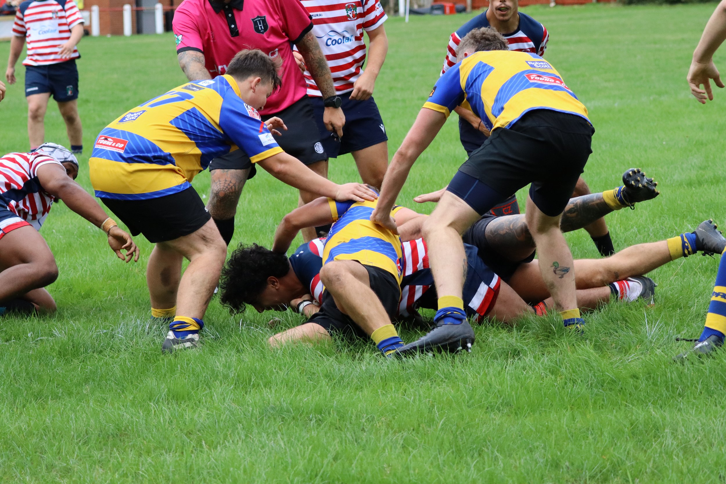 IMG_5436.JPG