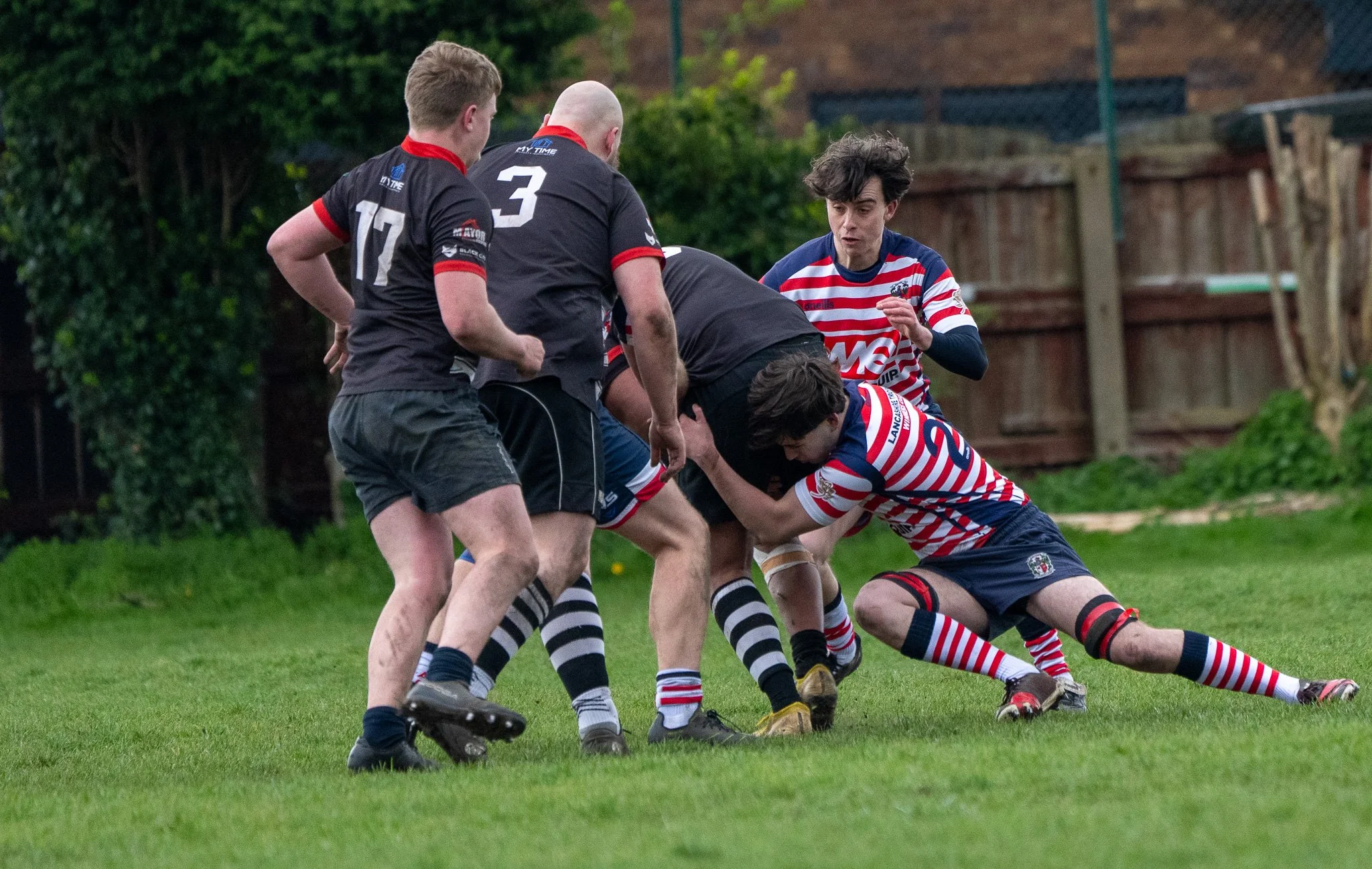 DSC01712.jpg