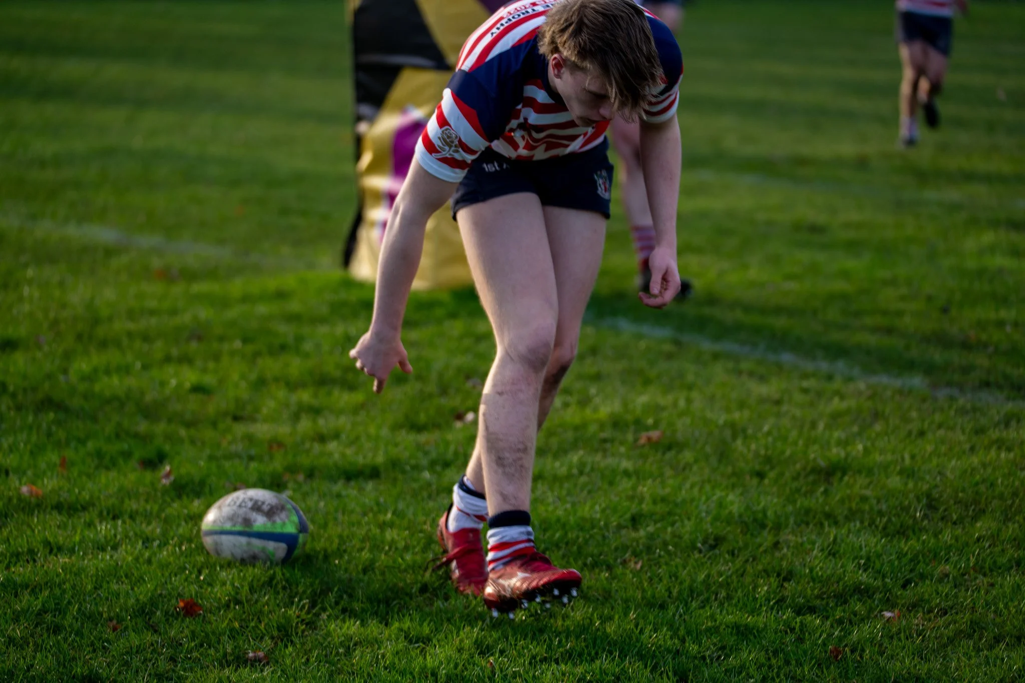 DSC06371.jpg