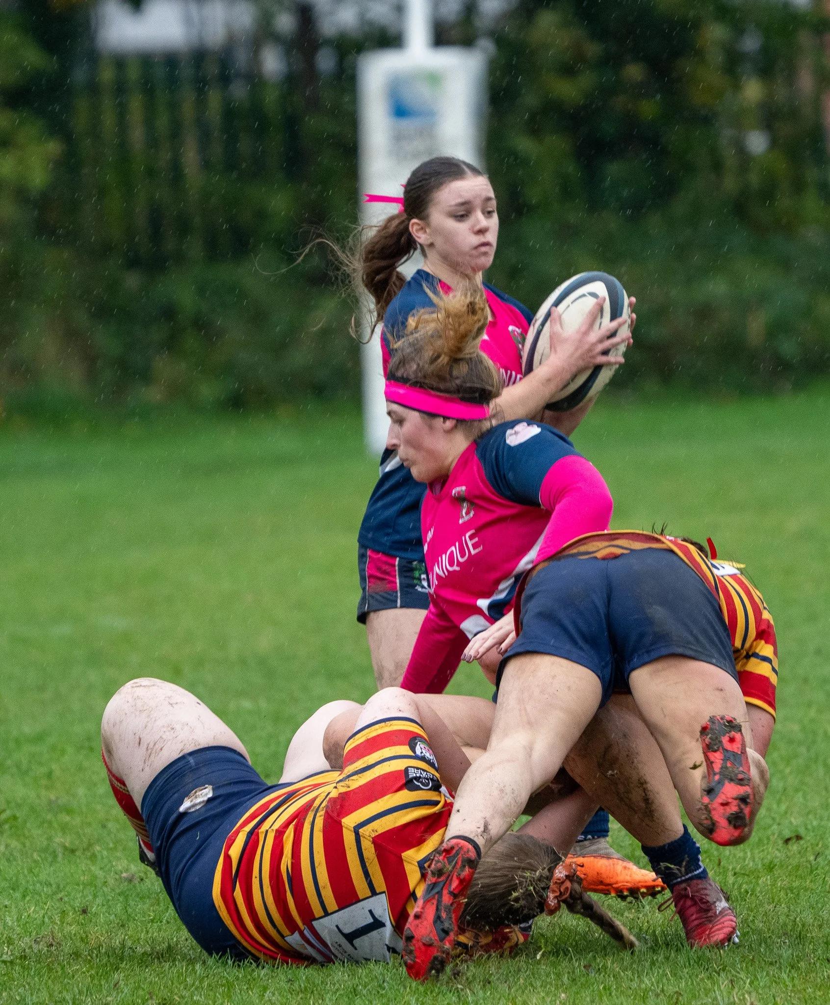 DSC08064.jpg