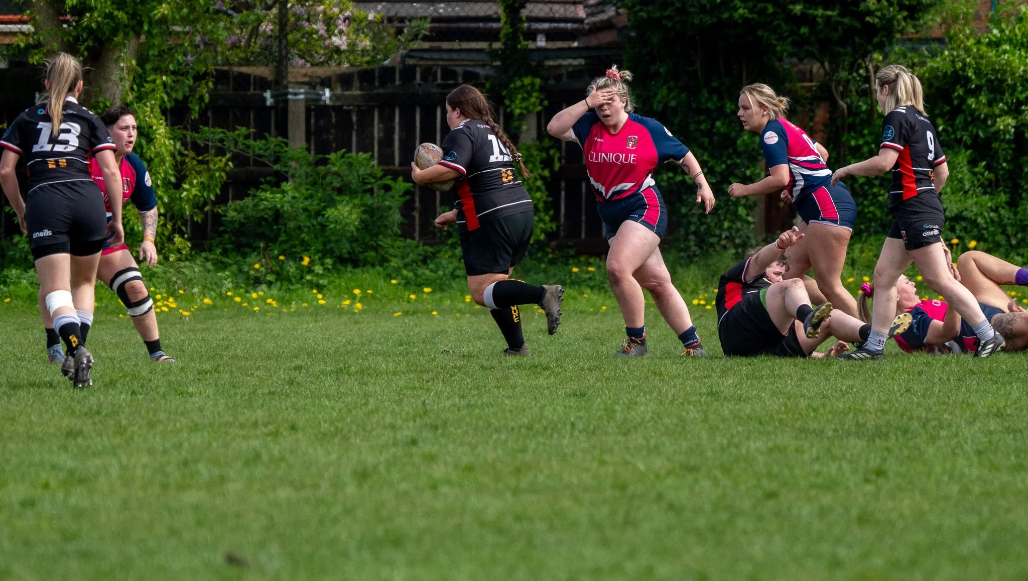 DSC02181.jpg
