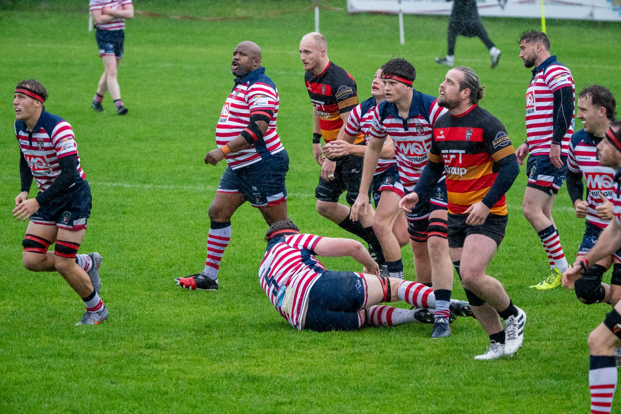 DSC05417.jpg