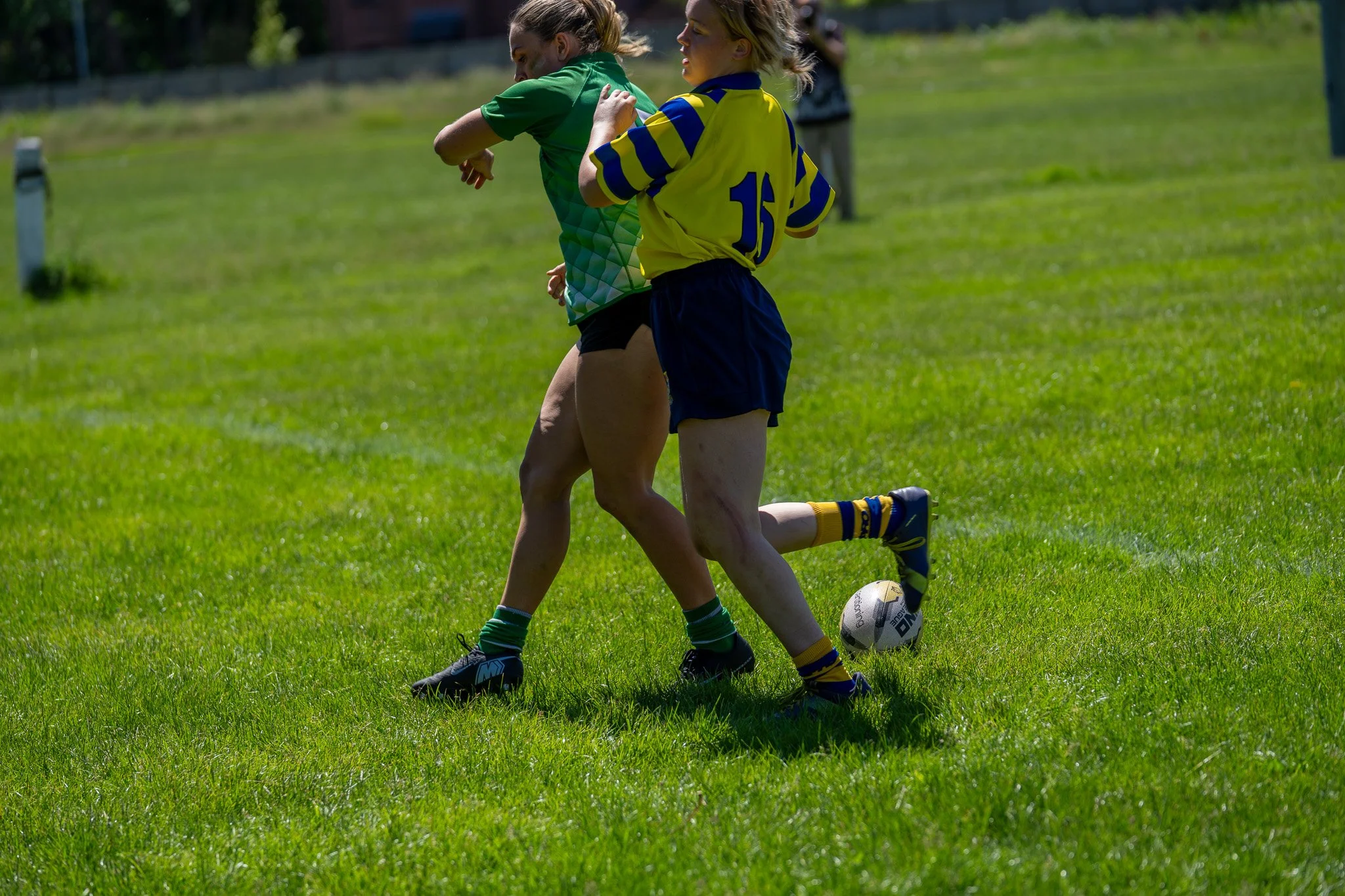 DSC02436.jpg