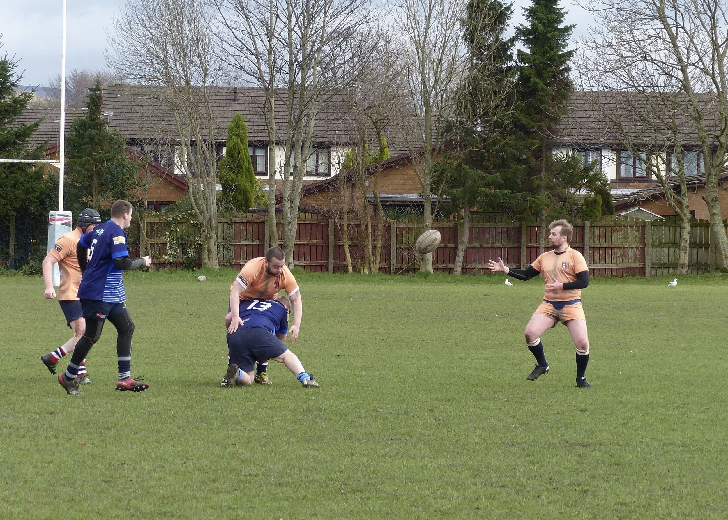 P1170415.JPG