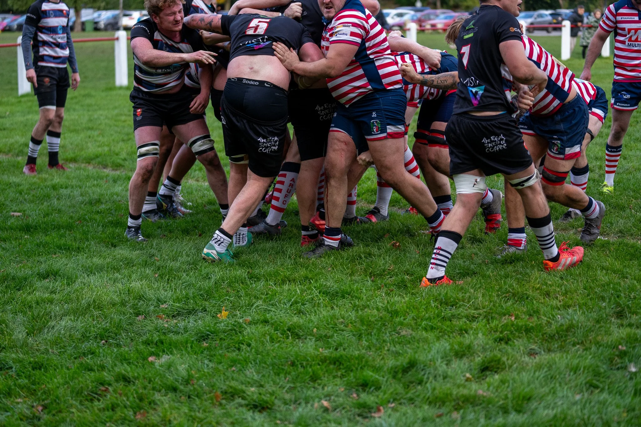 DSC05305-2.jpg