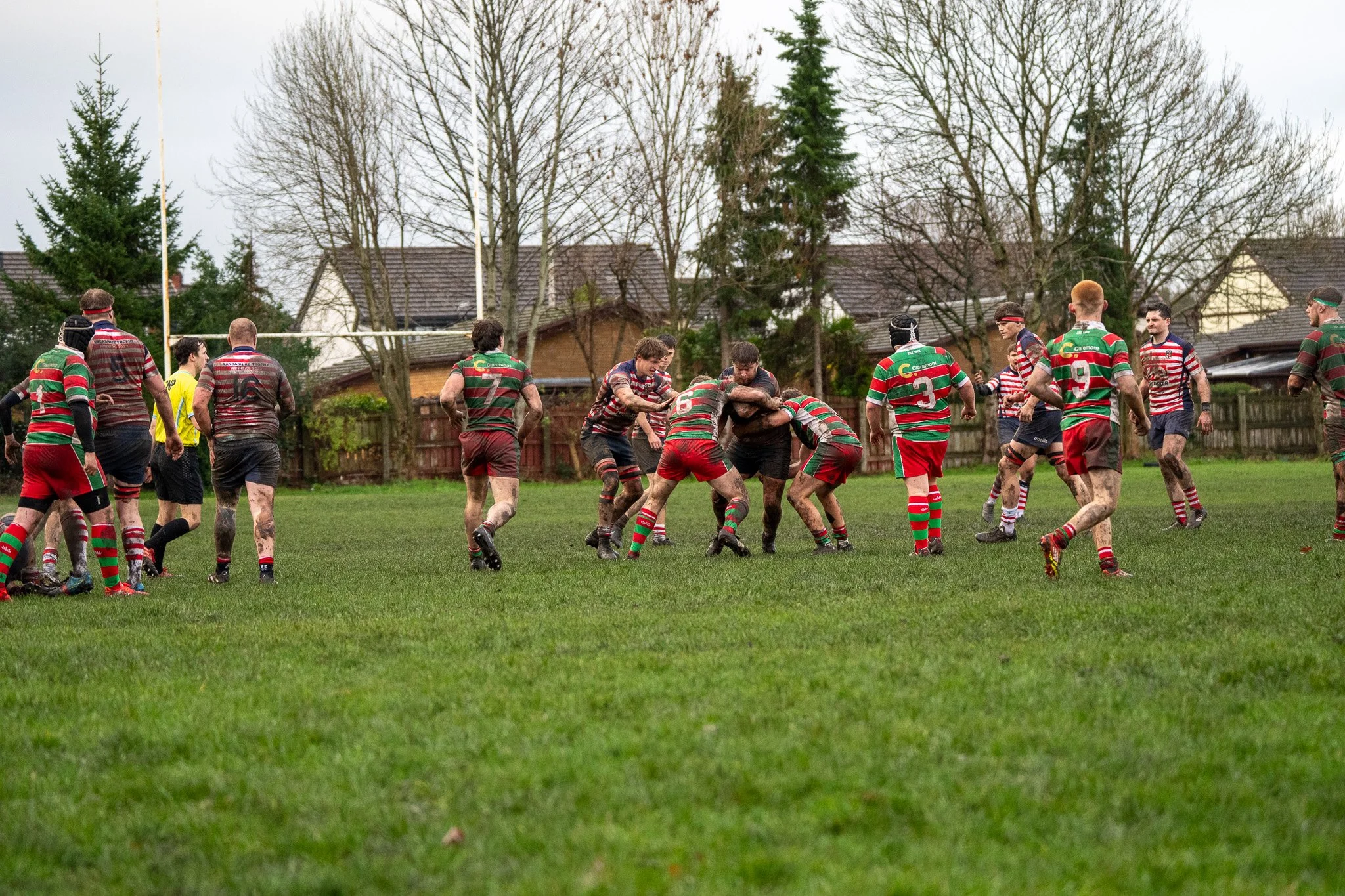 DSC08766.jpg
