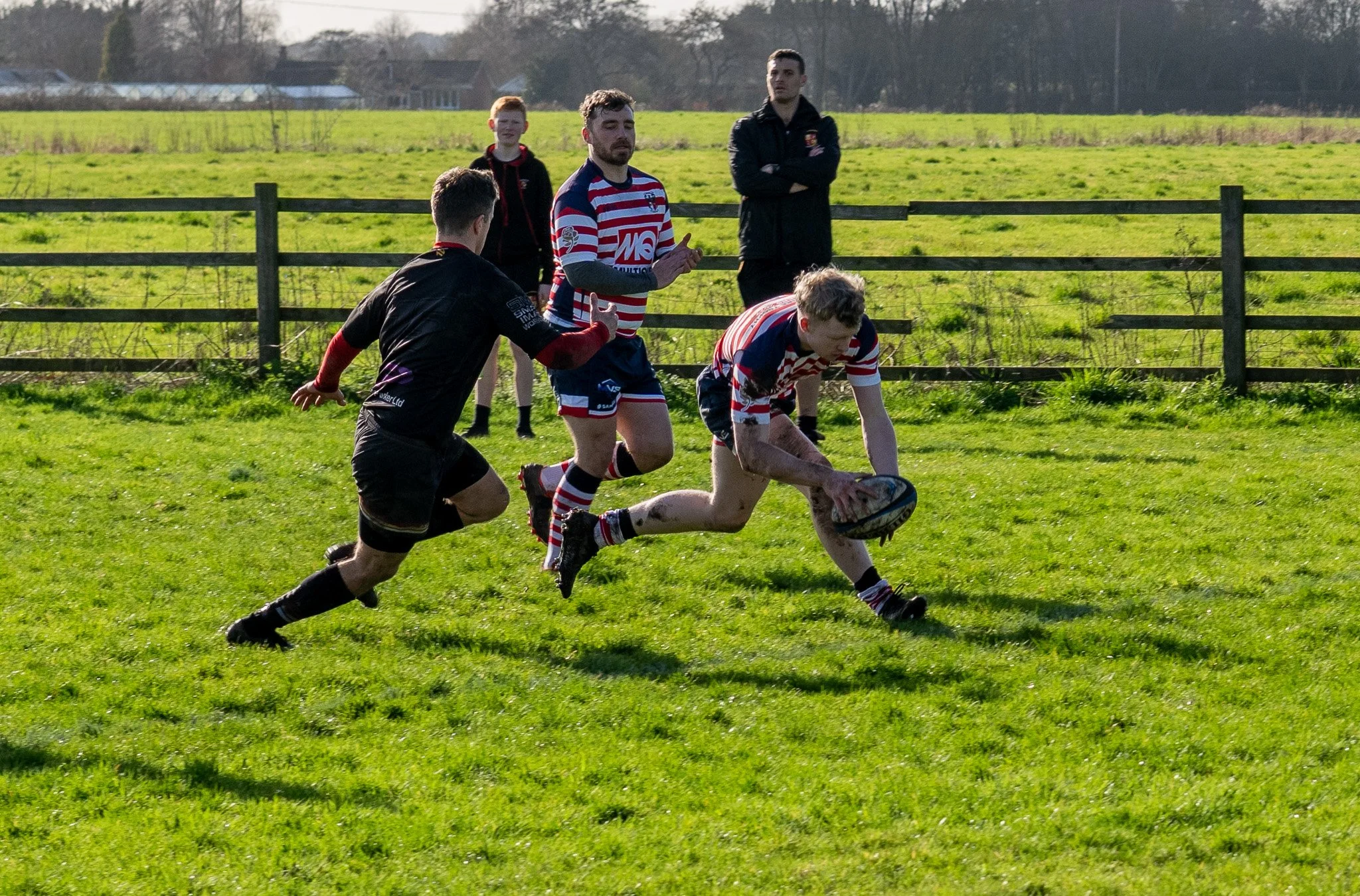DSC09385.jpg