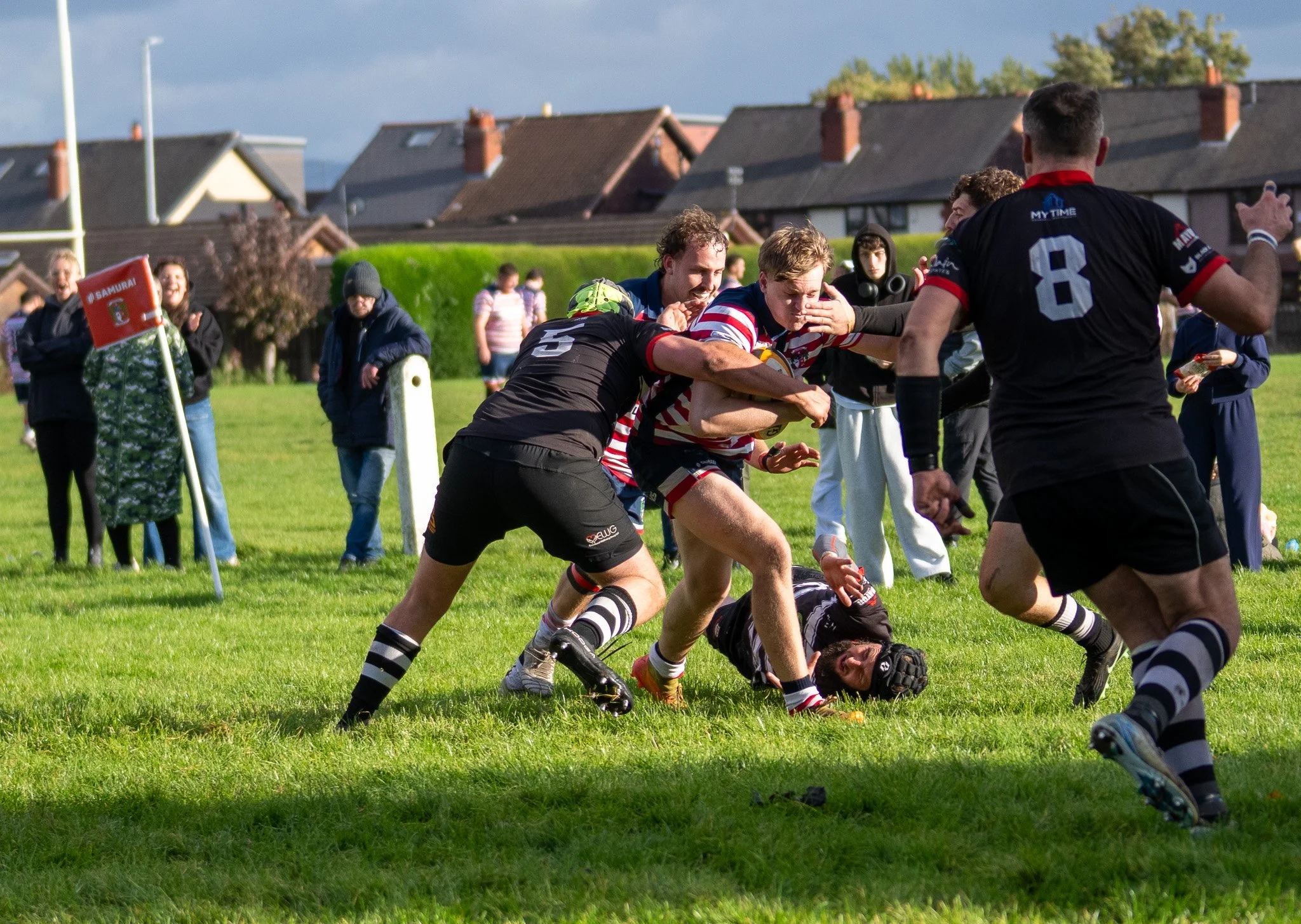 DSC04649.jpg