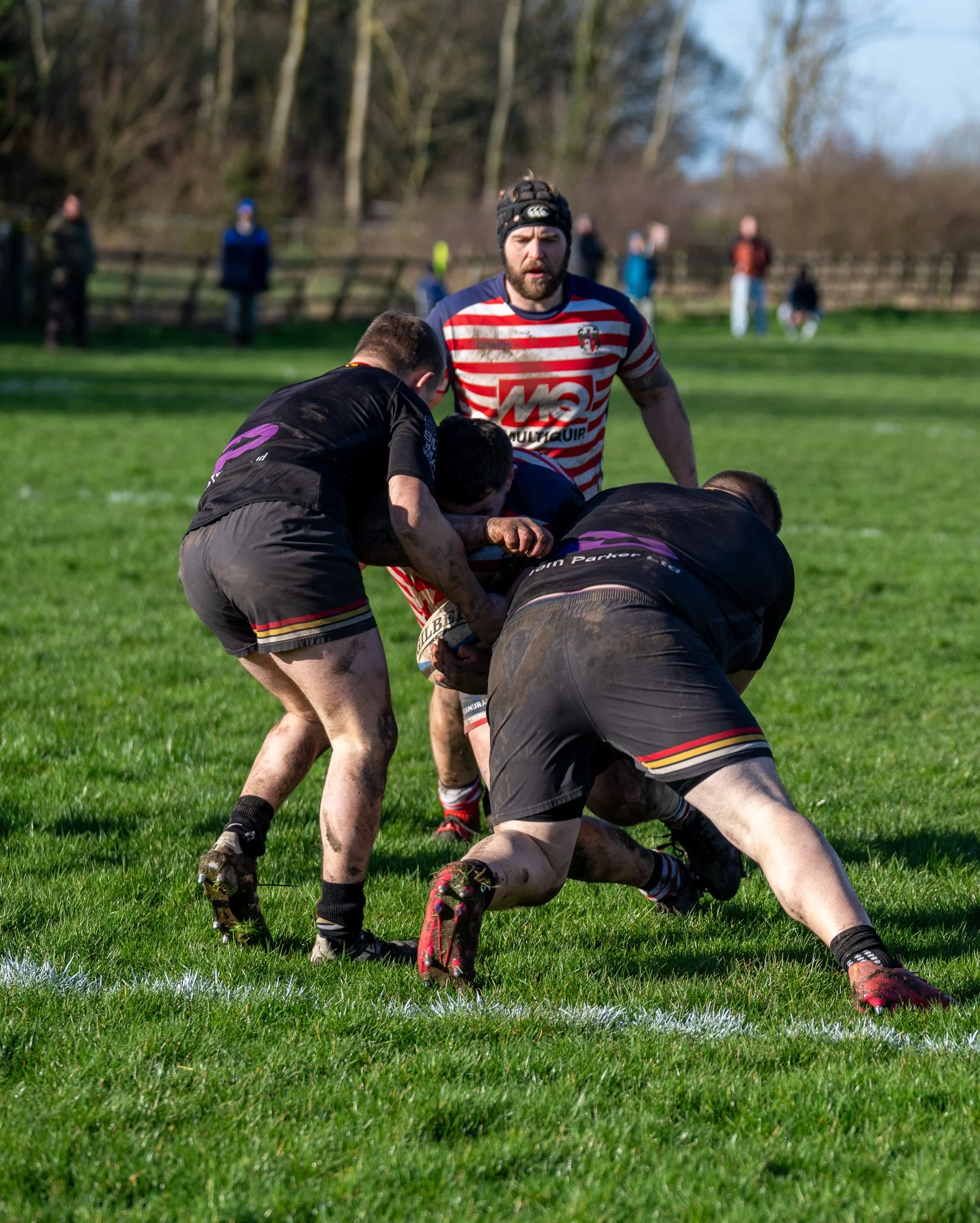 DSC09564.jpg