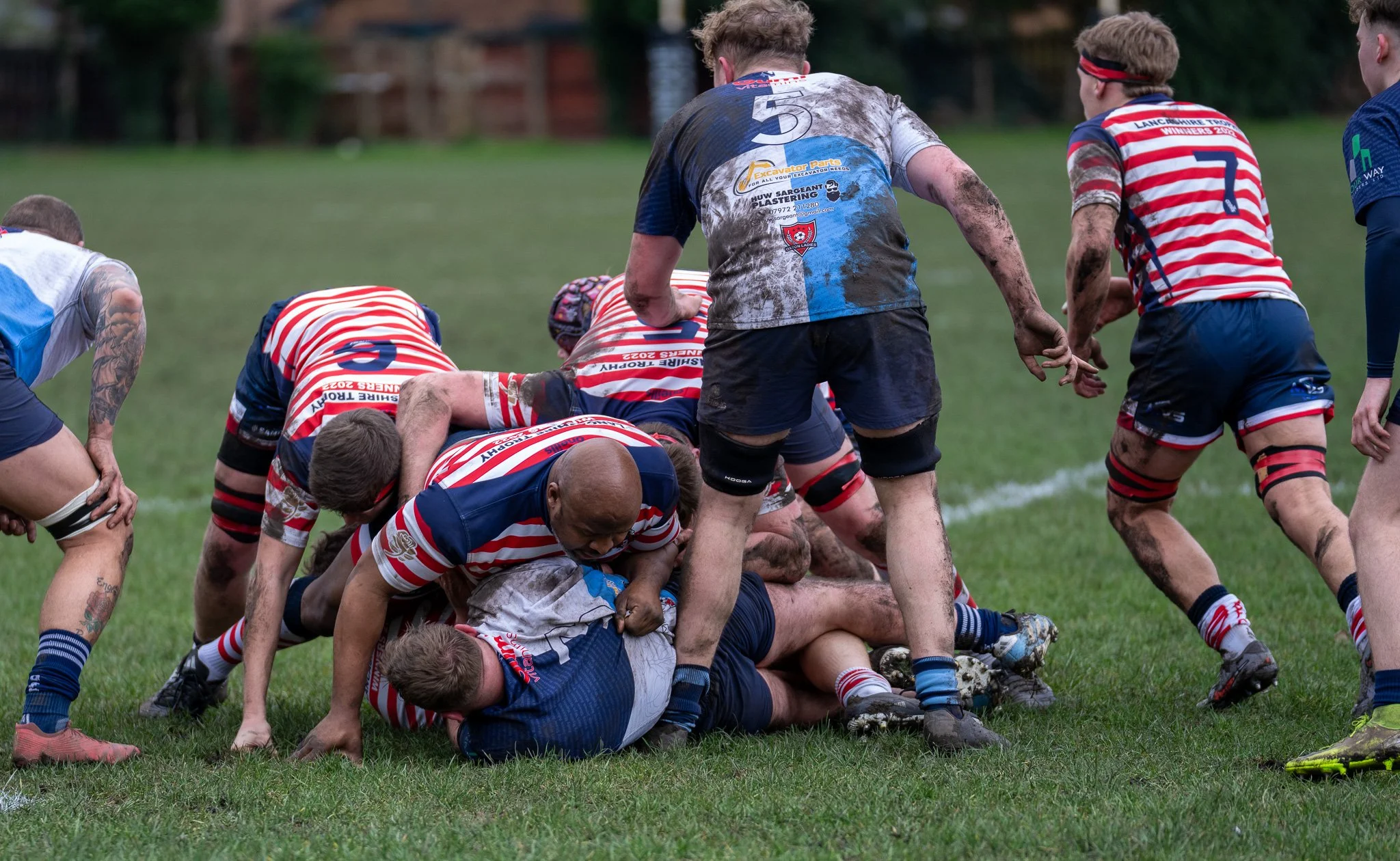 DSC08885.jpg
