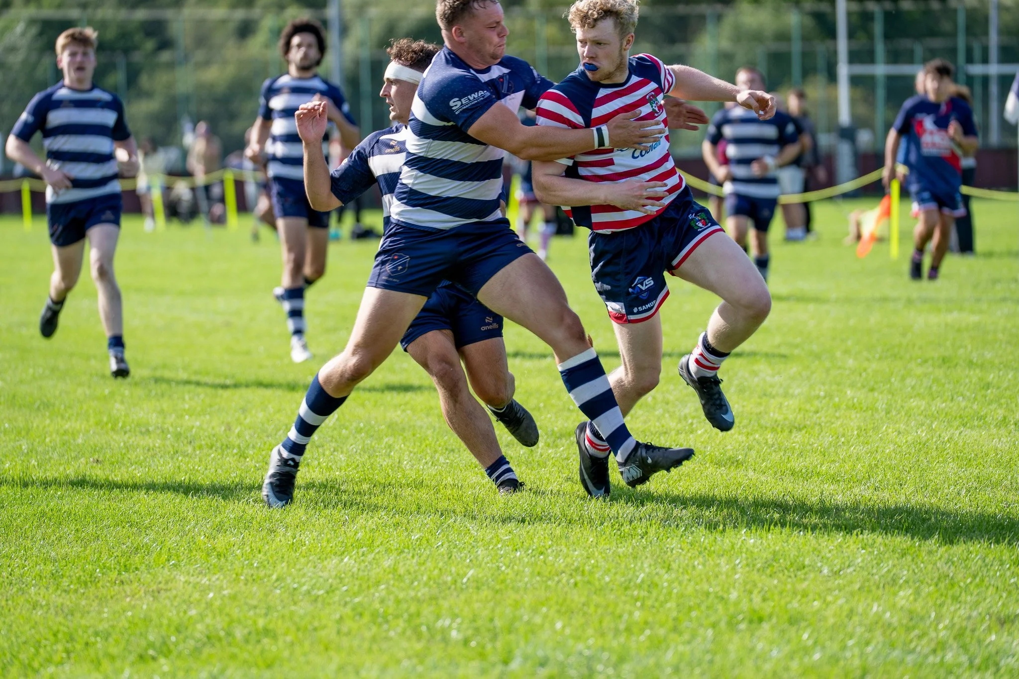 DSC02695.jpg
