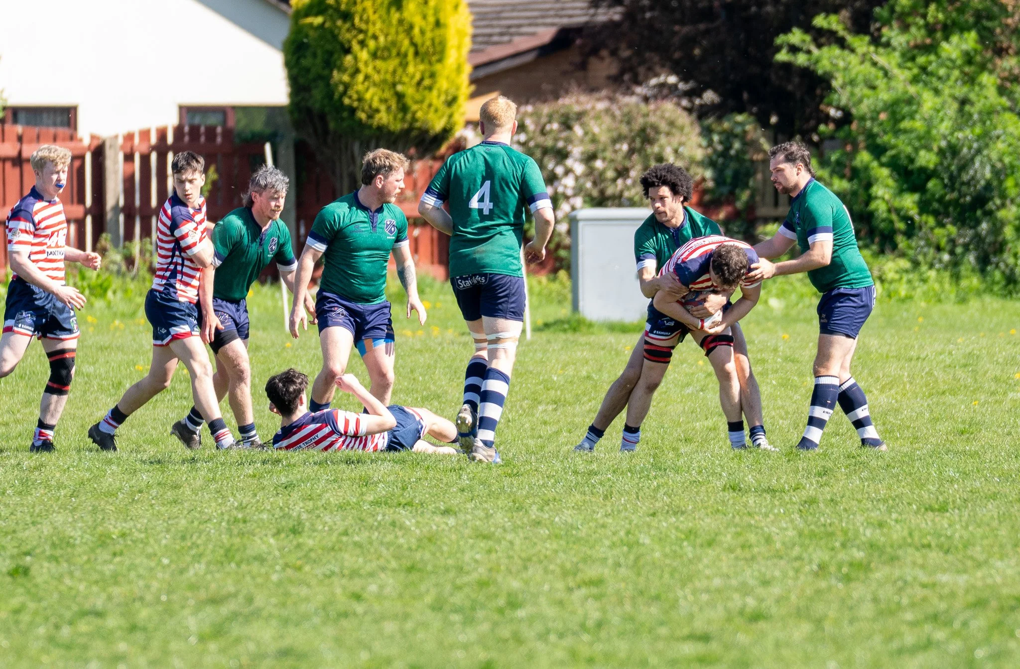DSC01680.jpg