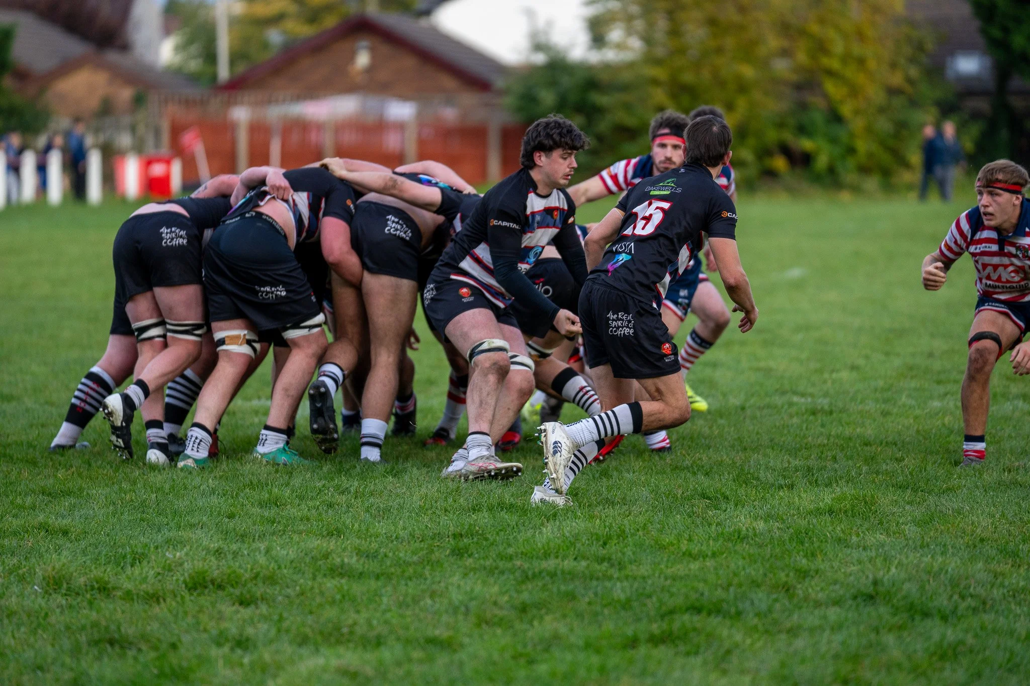 DSC05326-2.jpg
